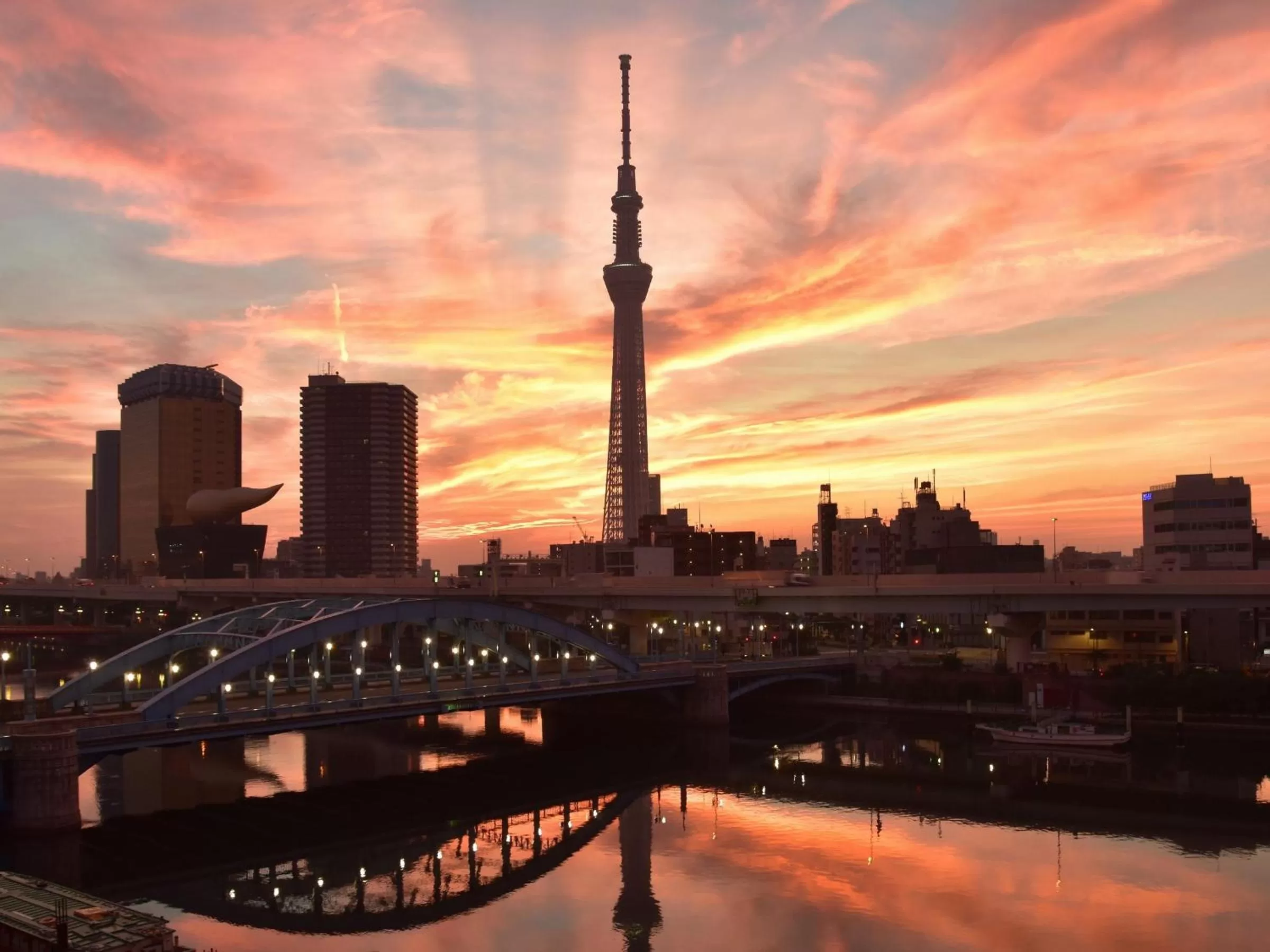 Neighbourhood in Hotel Wing International Select Asakusa Komagata