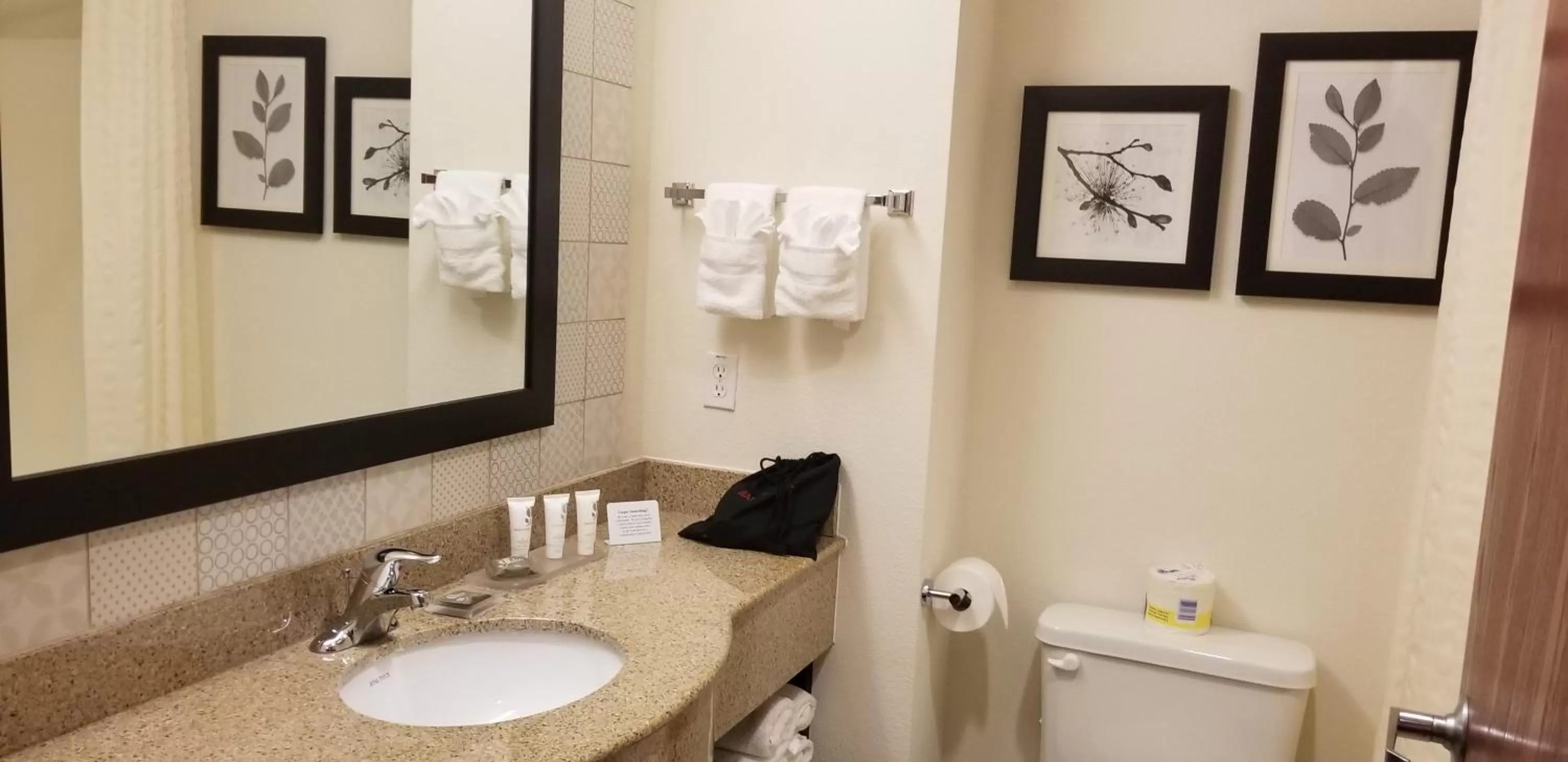 Executive King Suite in Country Inn & Suites by Radisson, Canton, GA