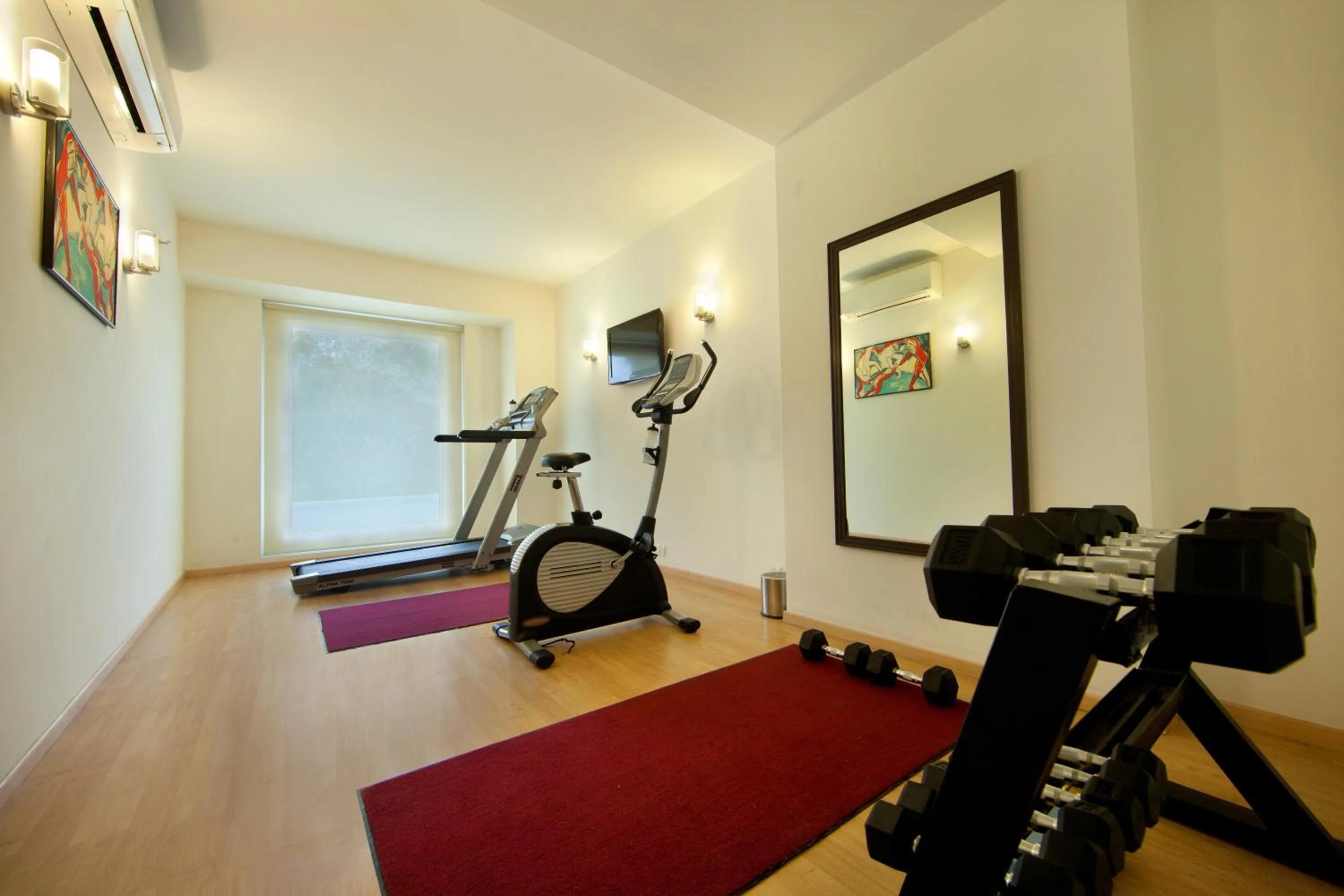 Fitness centre/facilities in Red Fox by Lemon Tree Hotels, East Delhi