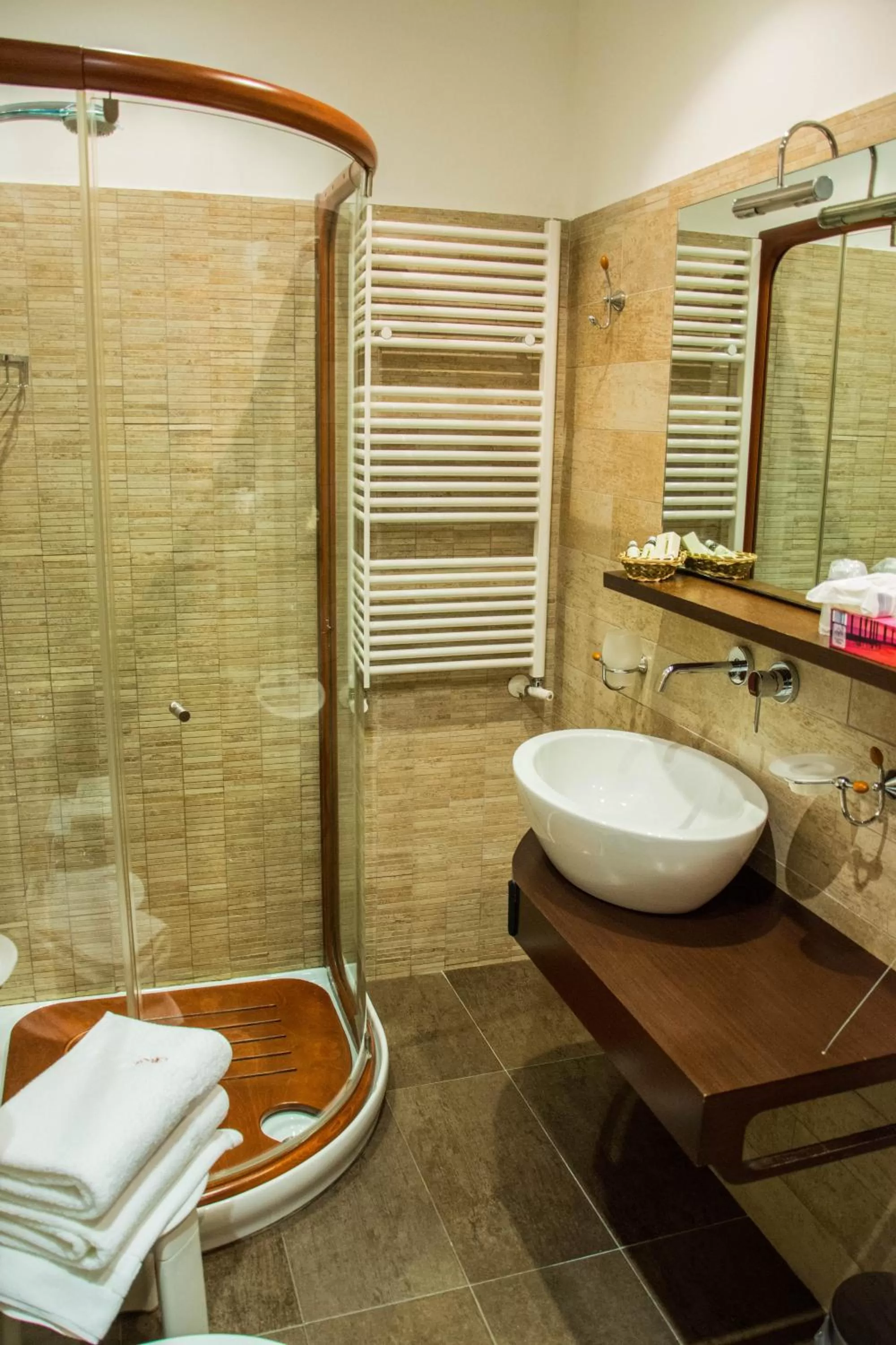 Shower in B&B Villa Liliya