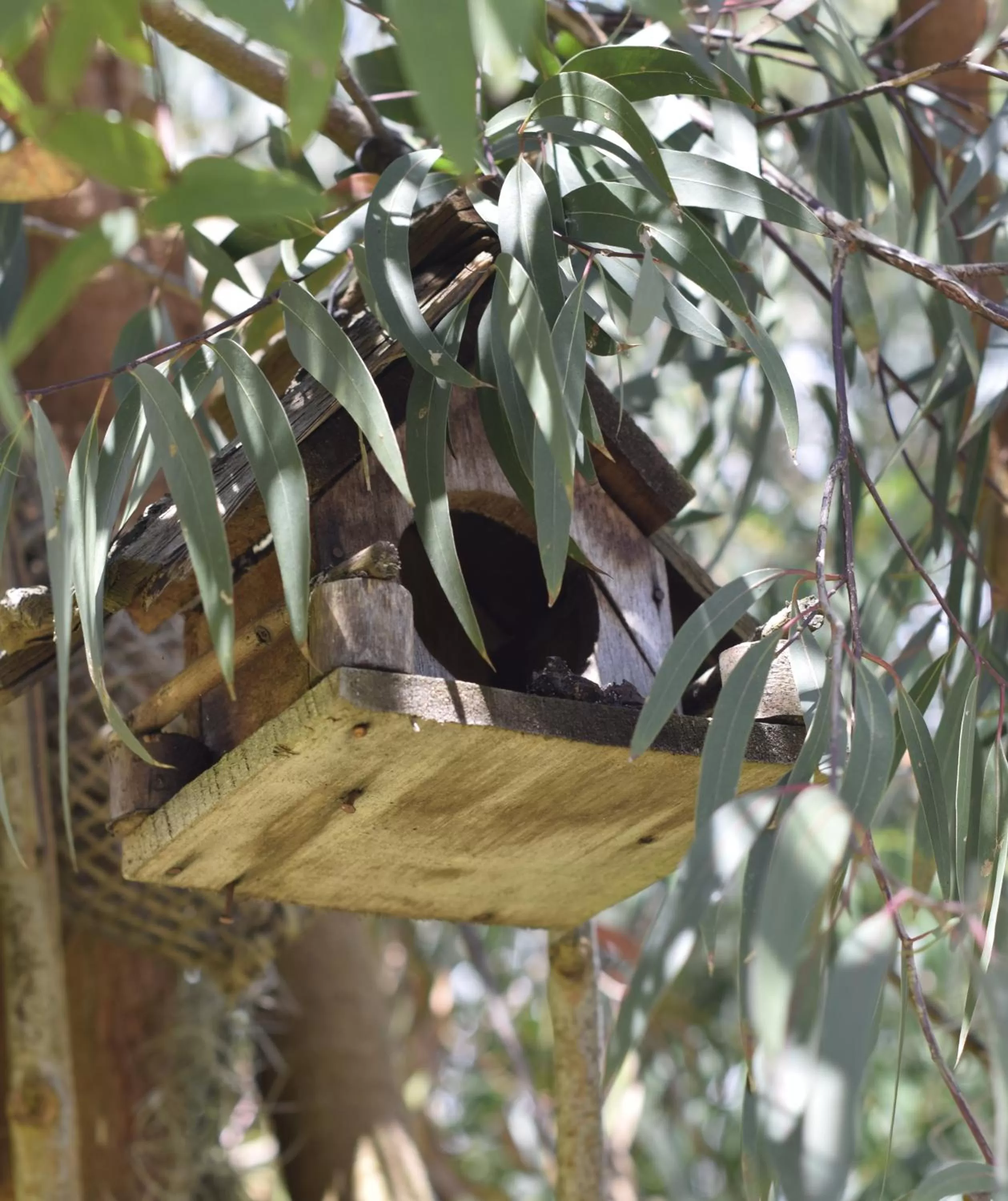 Garden in El Pedregal Sopó