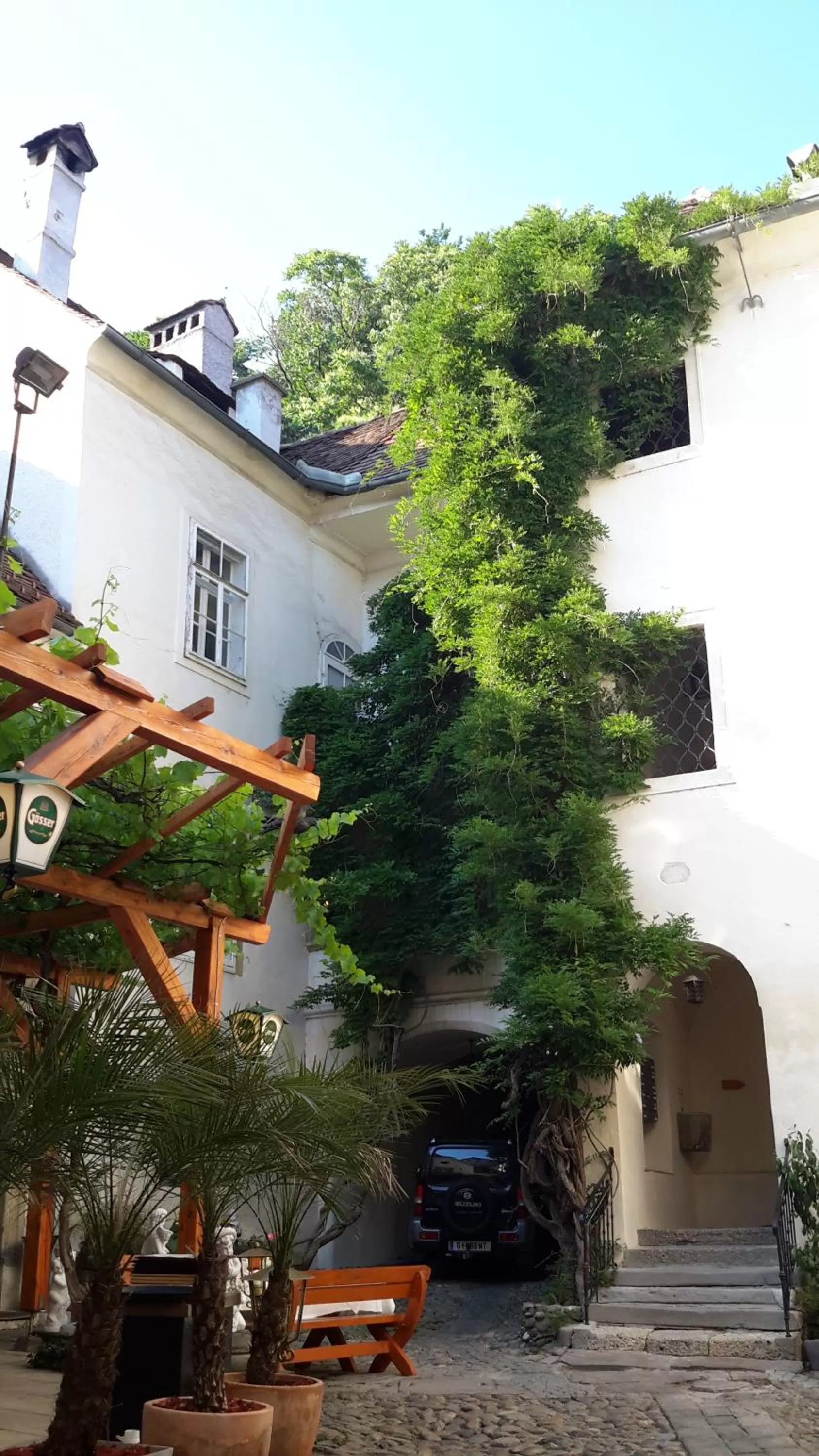 Restaurant/places to eat in Minihotel Graz