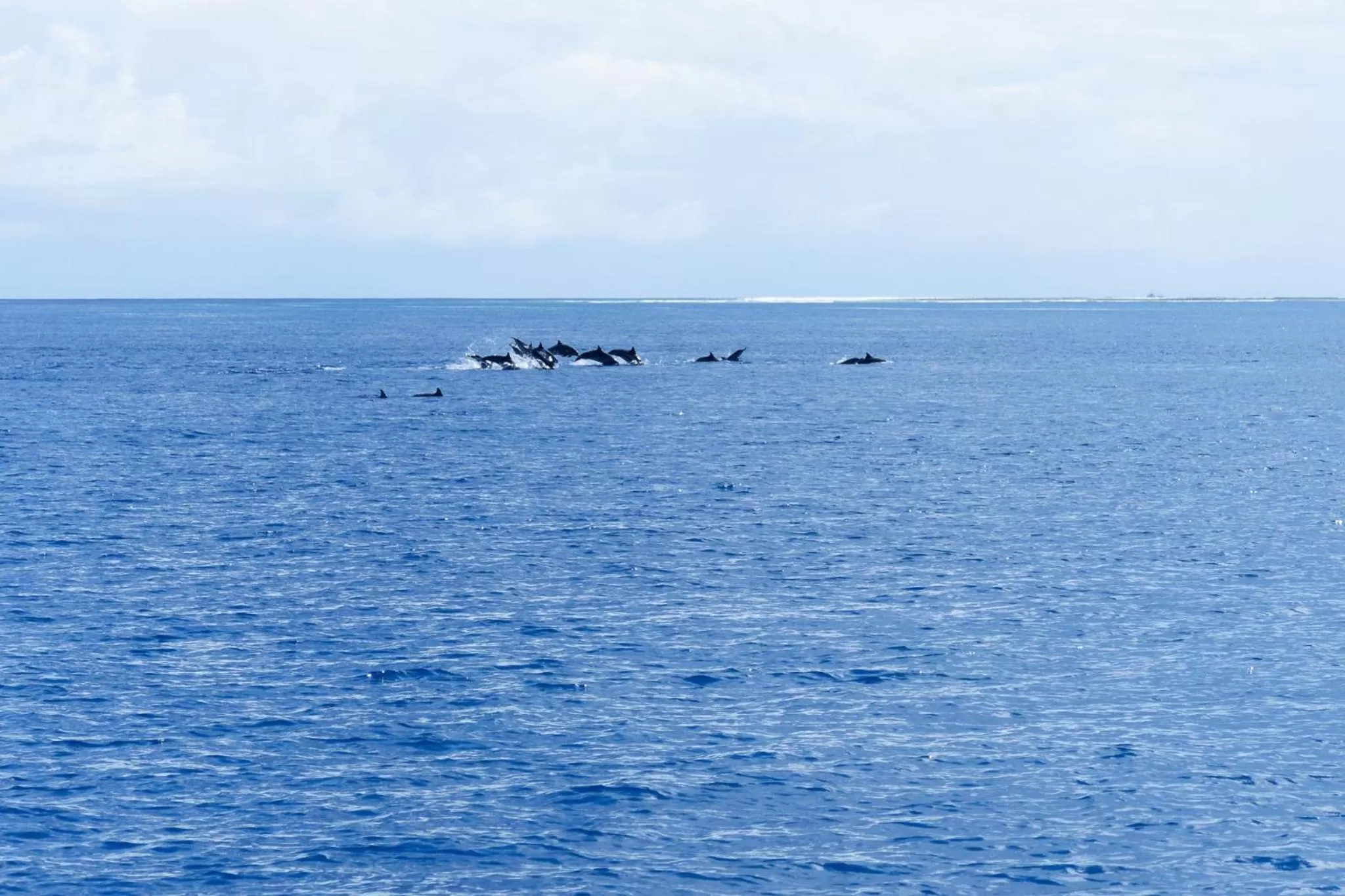 Day in Canareef Resort Maldives