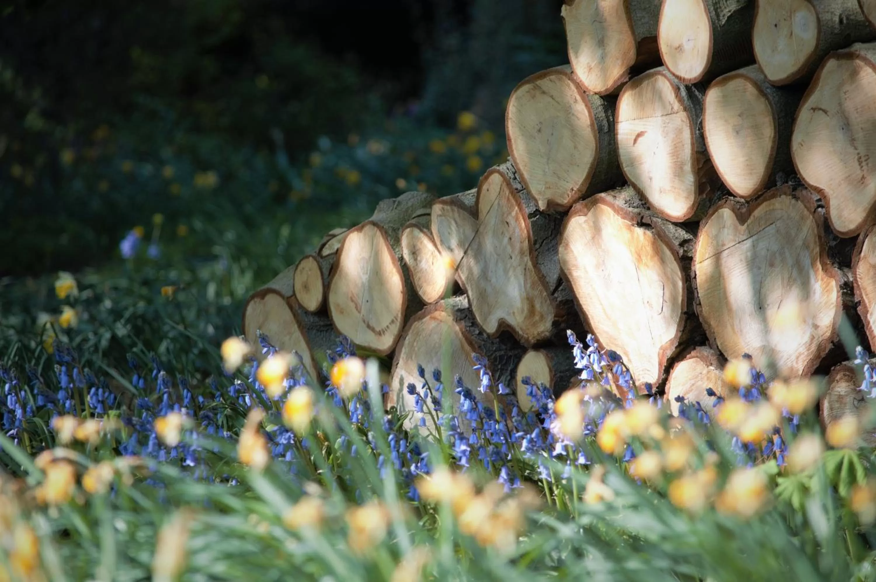 Garden in Fischers Baslow Hall - Chatsworth