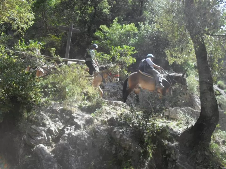 Activities in B&B Oliva