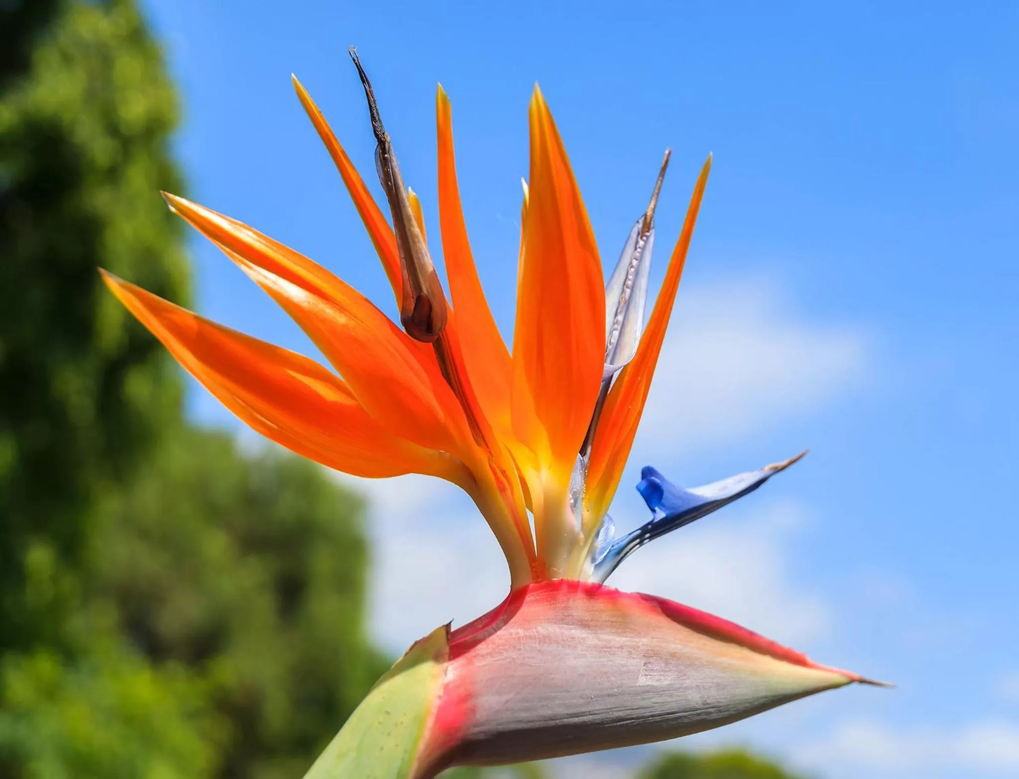 Natural landscape in Dom Pedro Garajau