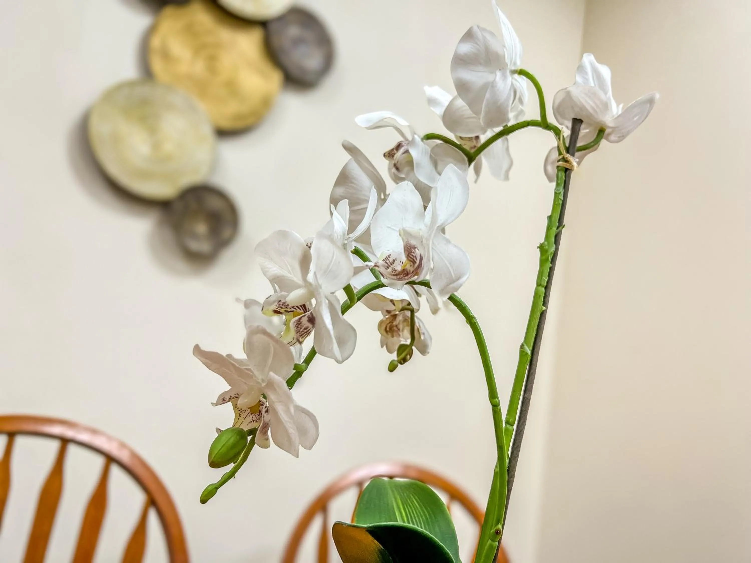 Decorative detail in County Hall Apartment Hotel
