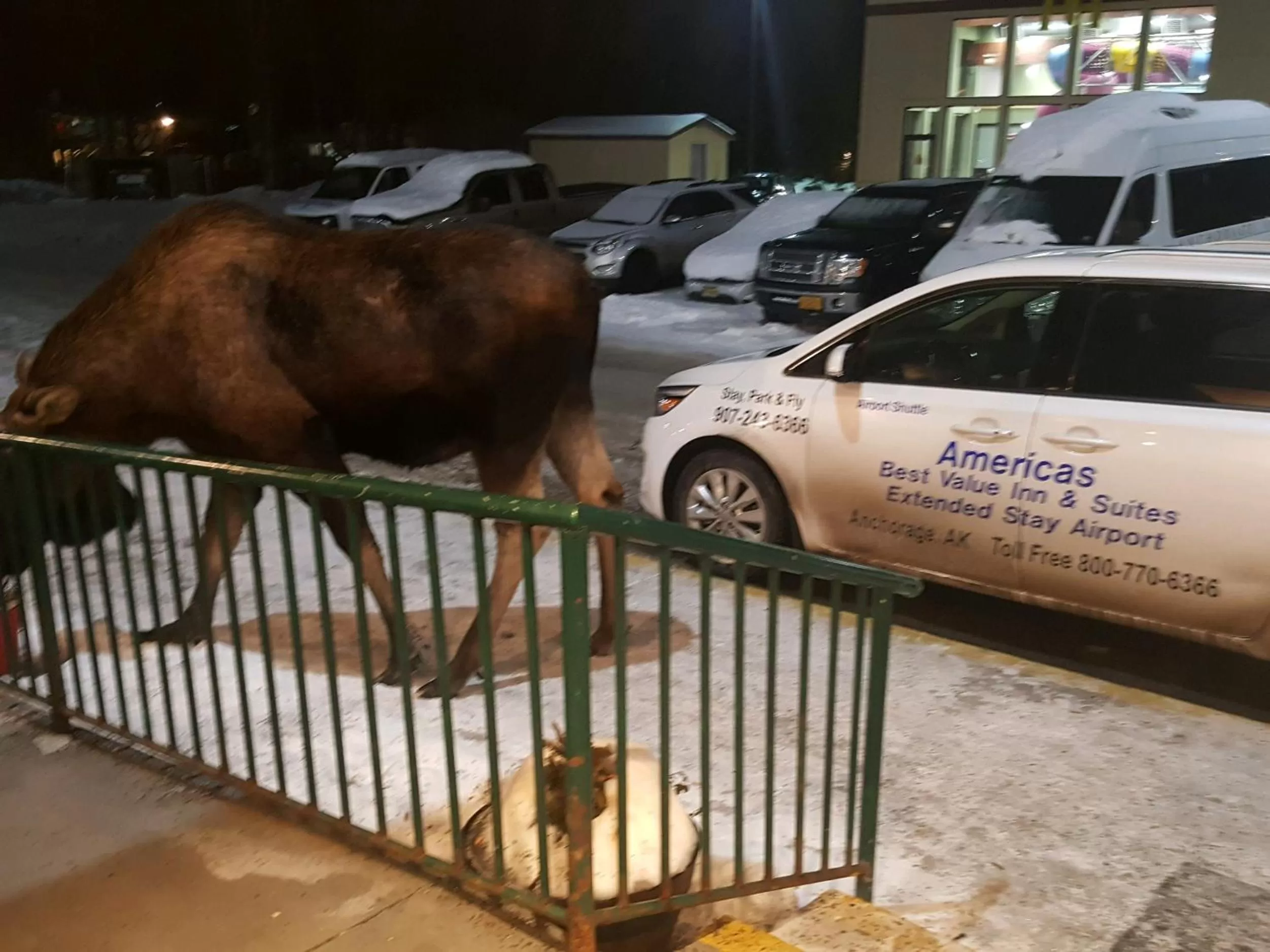 Property logo or sign in Americas Best Value Inn & Suites Anchorage Airport