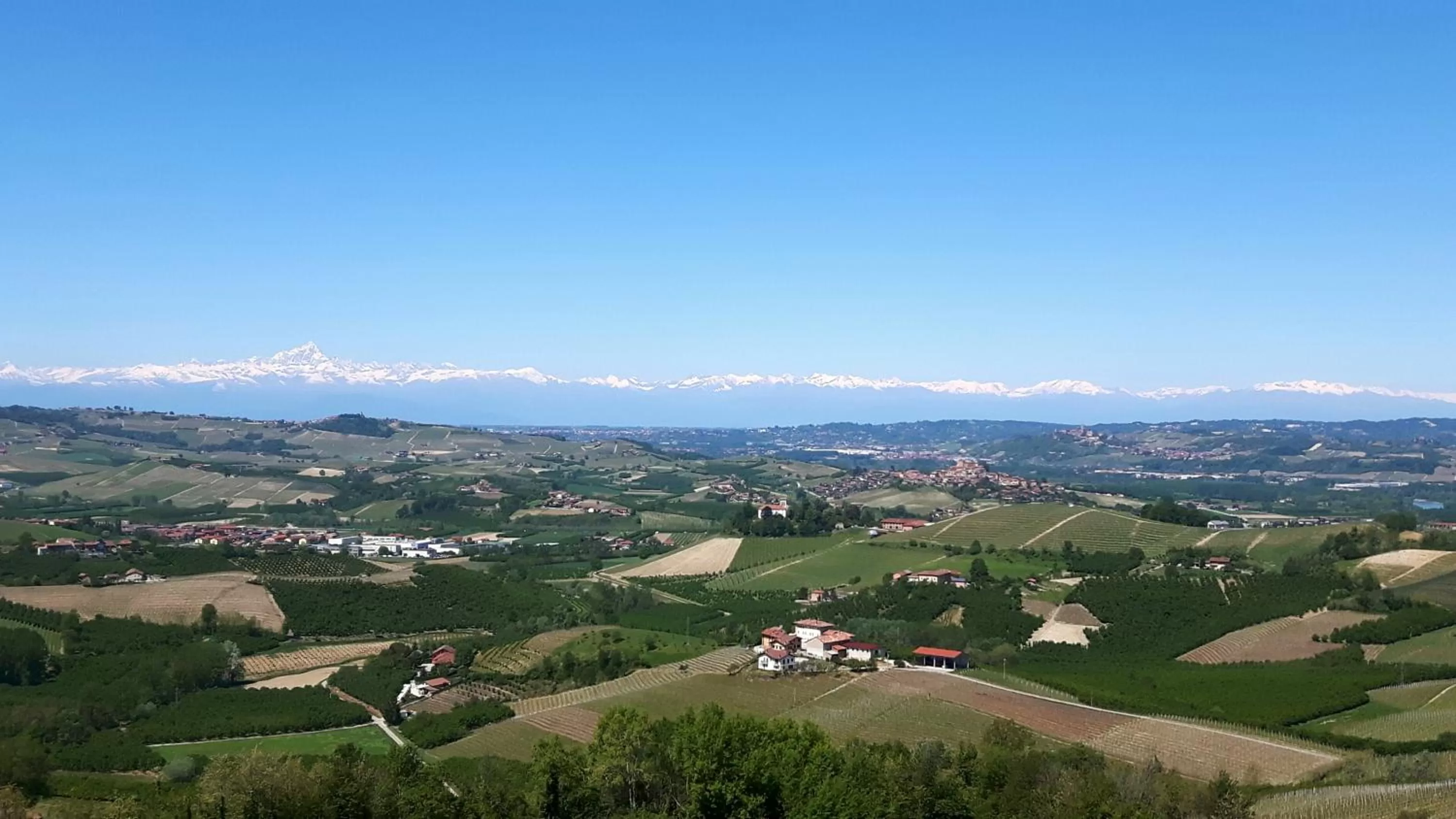 City view in Villa Bellavista Alba, B&B