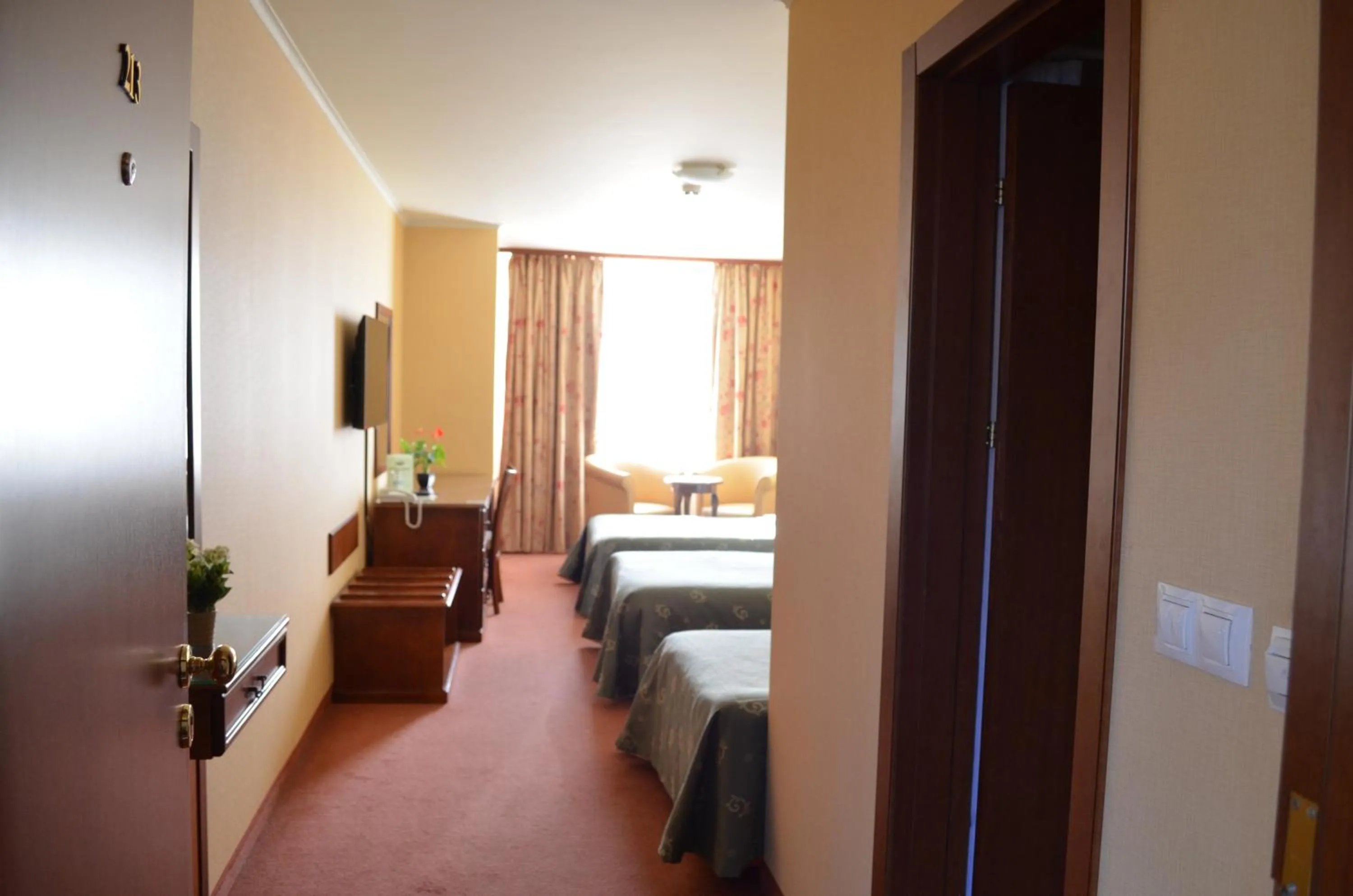 Photo of the whole room, Bed in Hotel Bankya Palace