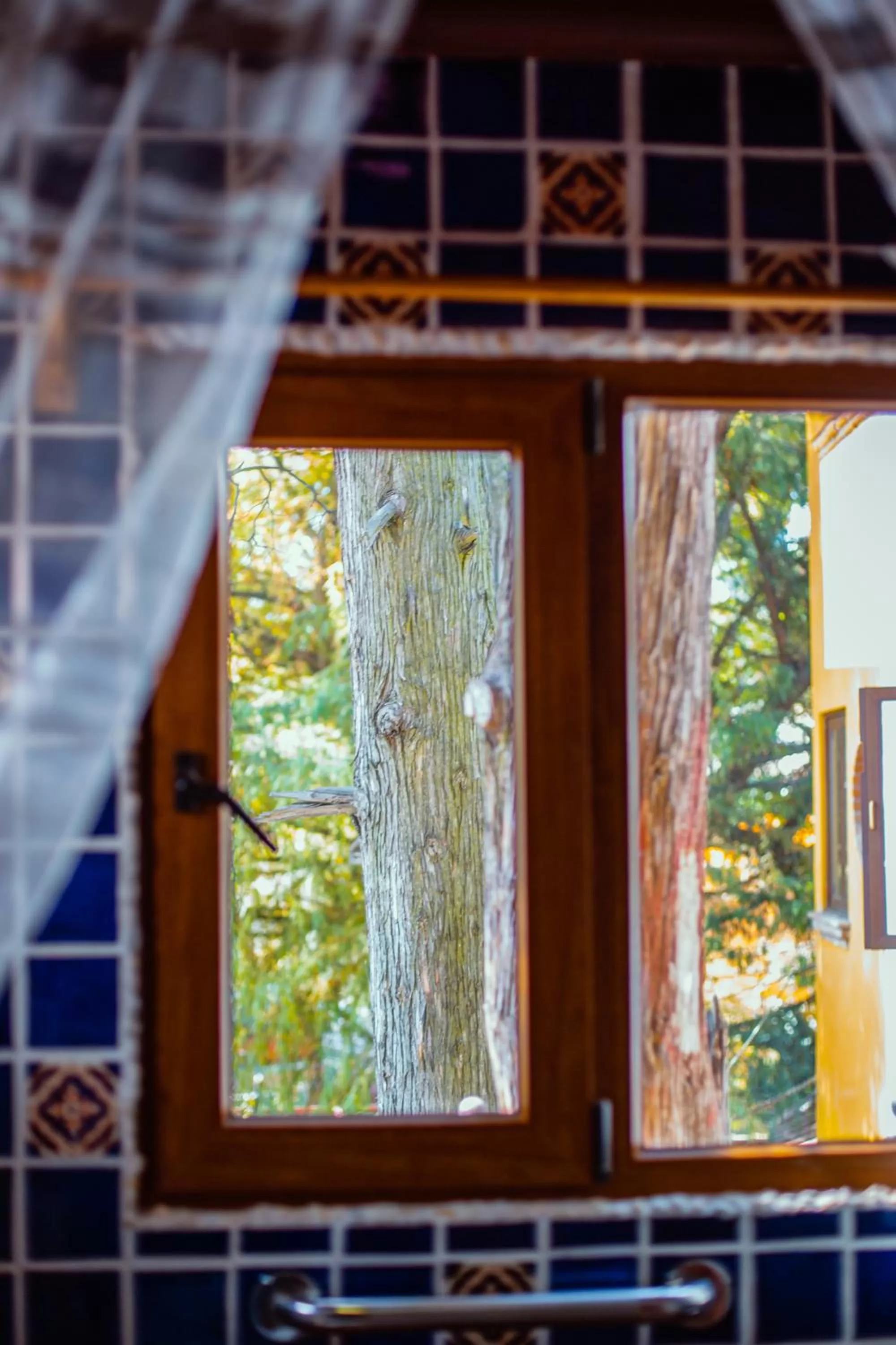 Garden view in Casa Jacinta Guest House