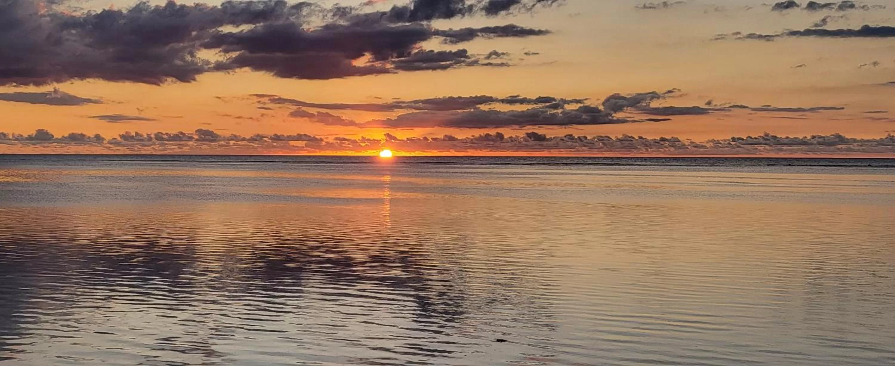 Sea view in La Maison de la plage