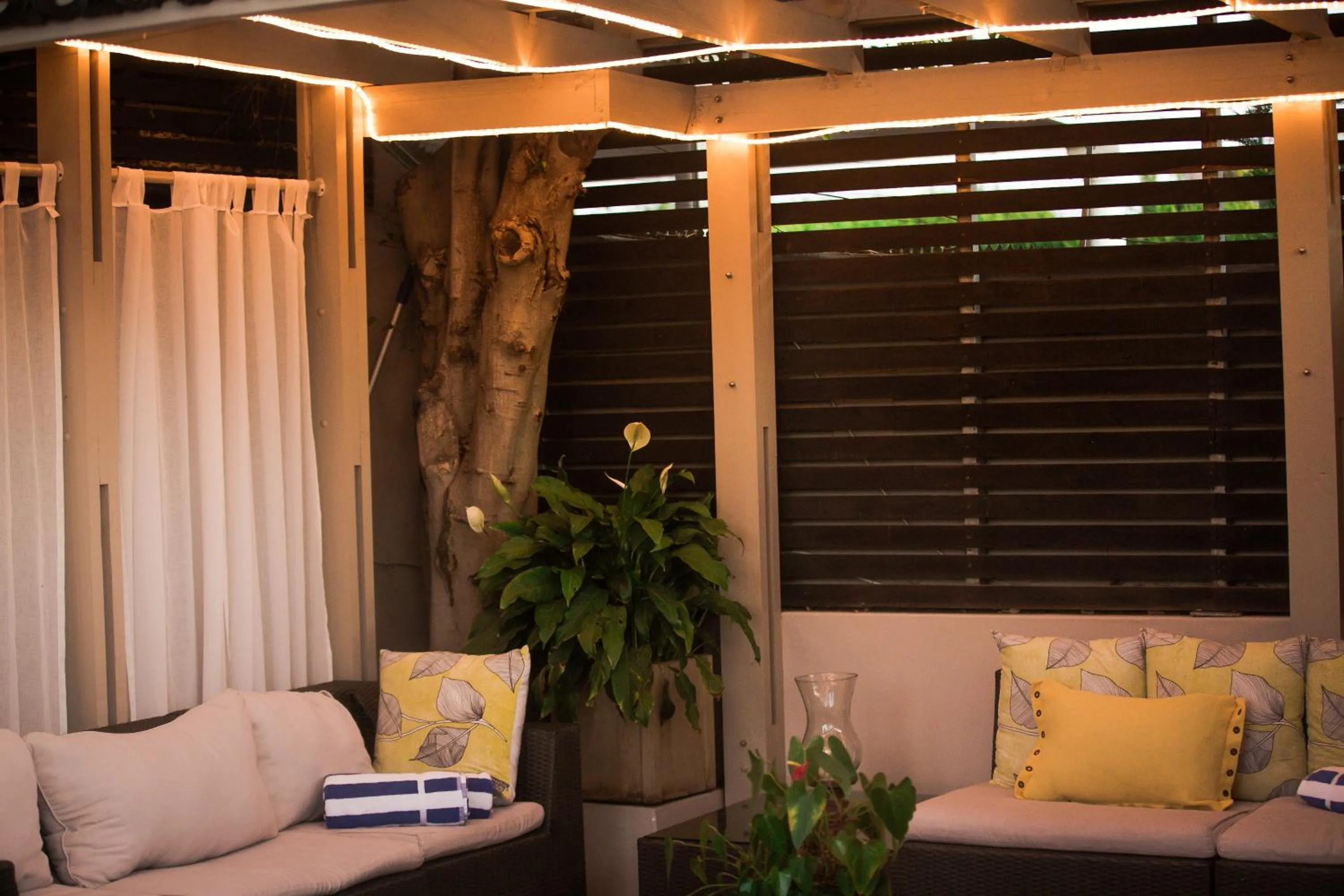 Patio in Point B Guest House -Sustainable Solar Energy