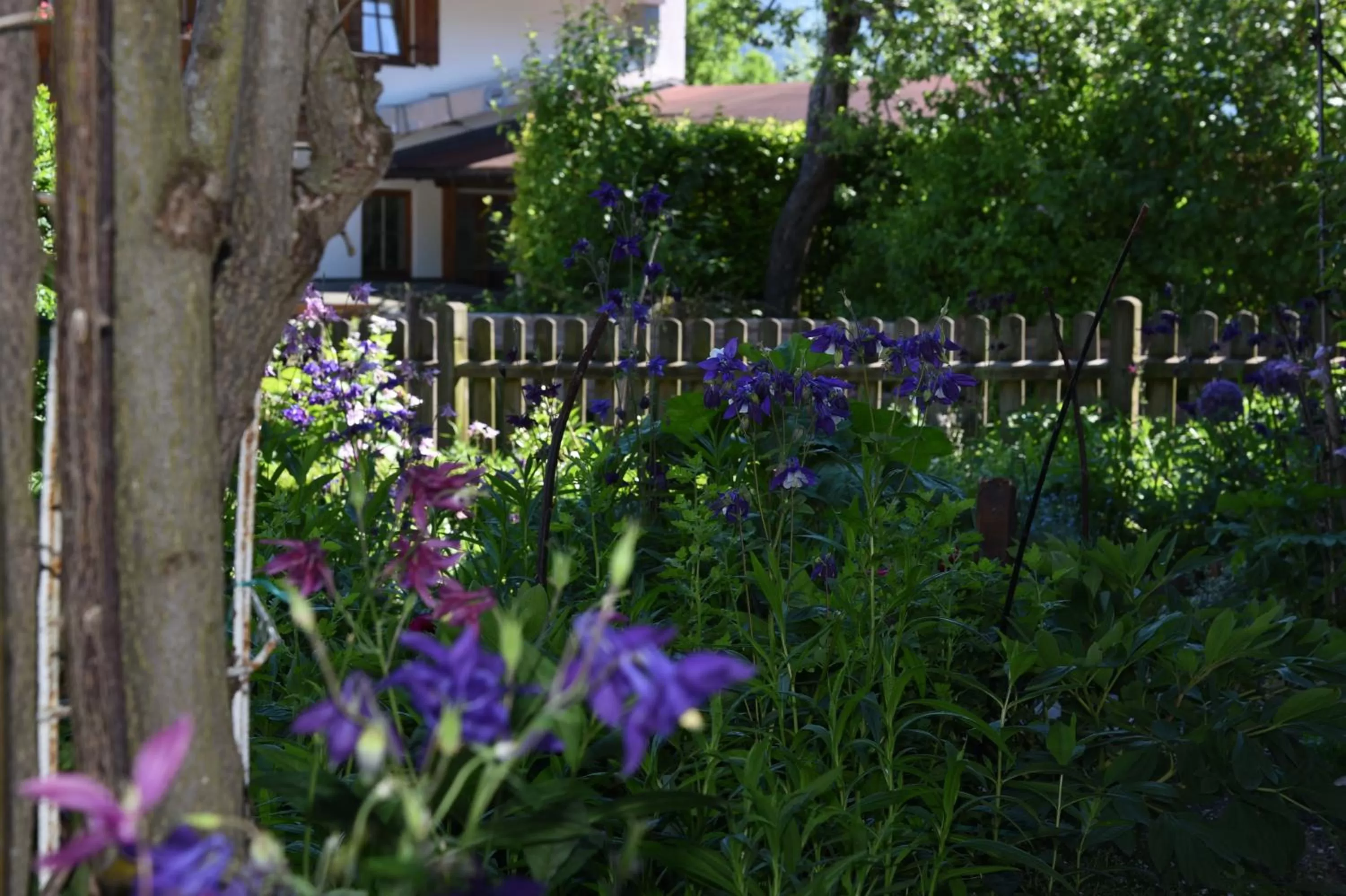 Garden in Theresenhof