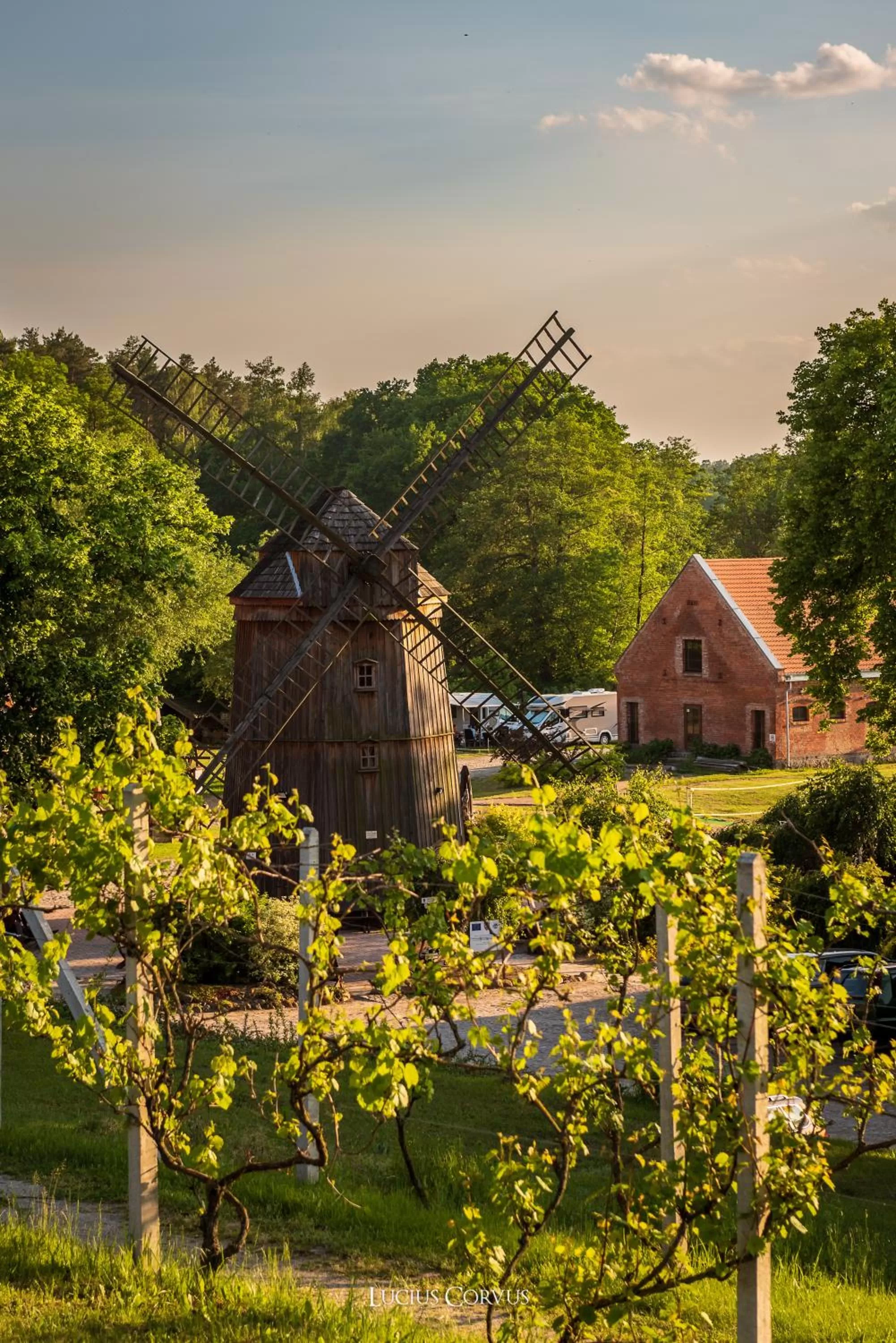 Activities in Olandia