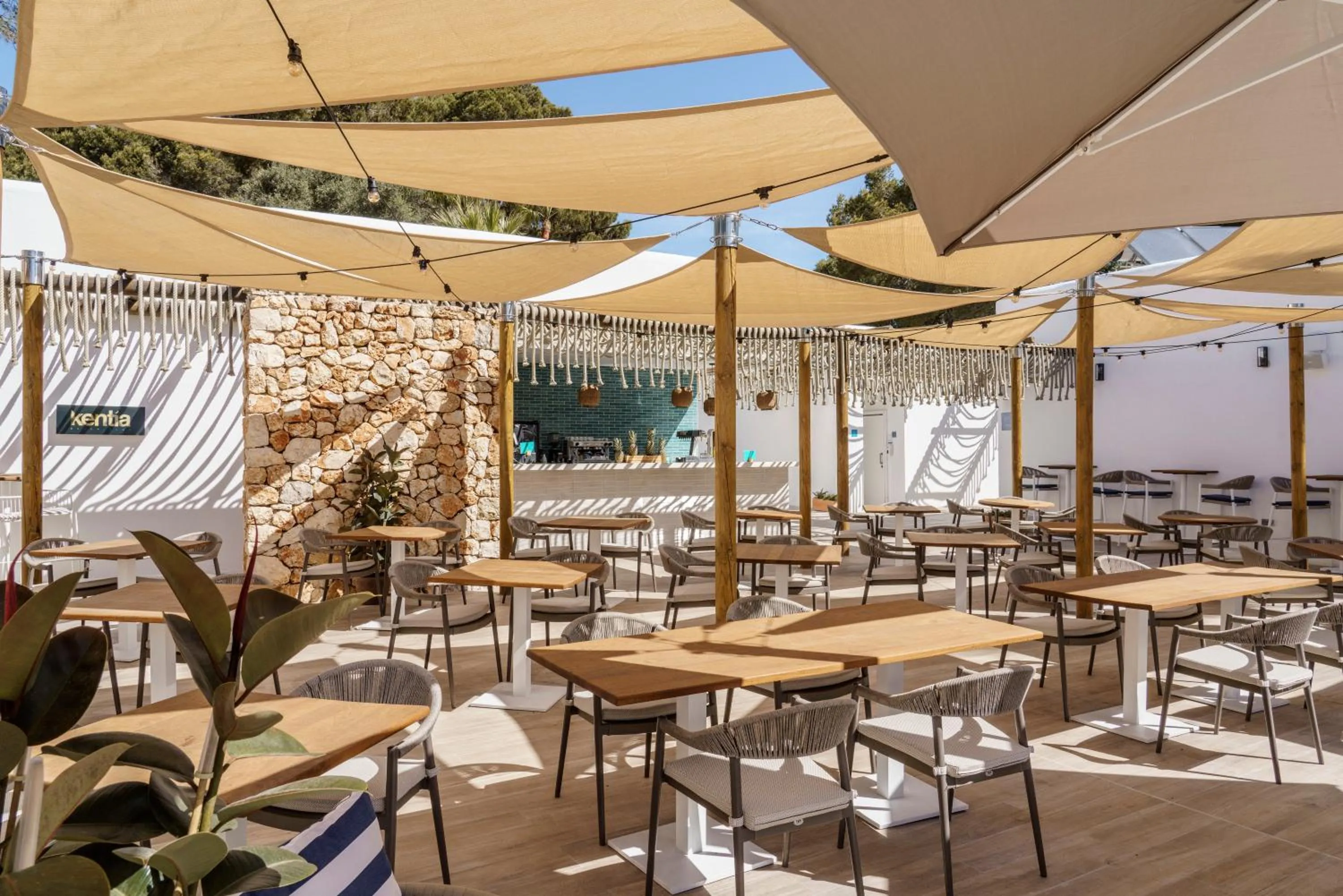 Lounge or bar in AluaSoul Mallorca Resort - Adults only