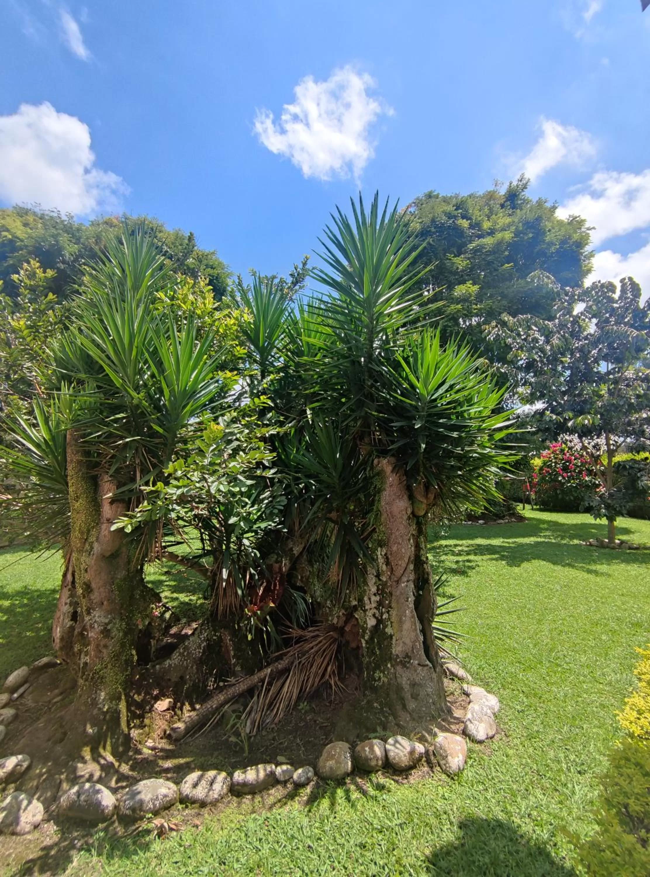 Natural landscape, Garden in Hotel Chalet El Castillo by Majuva