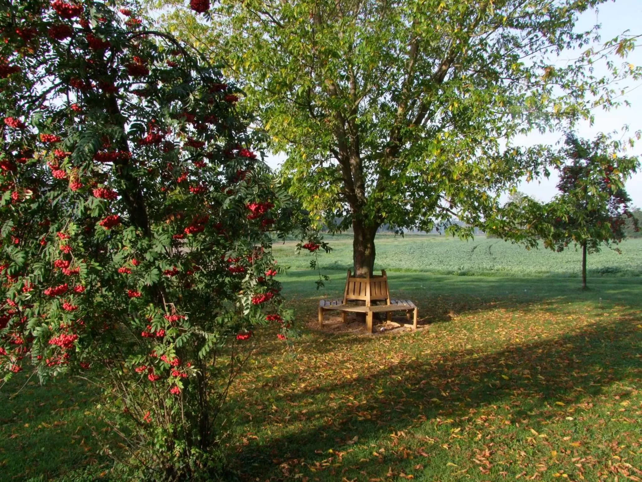 Garden in Hotel Moritz an der Elbe