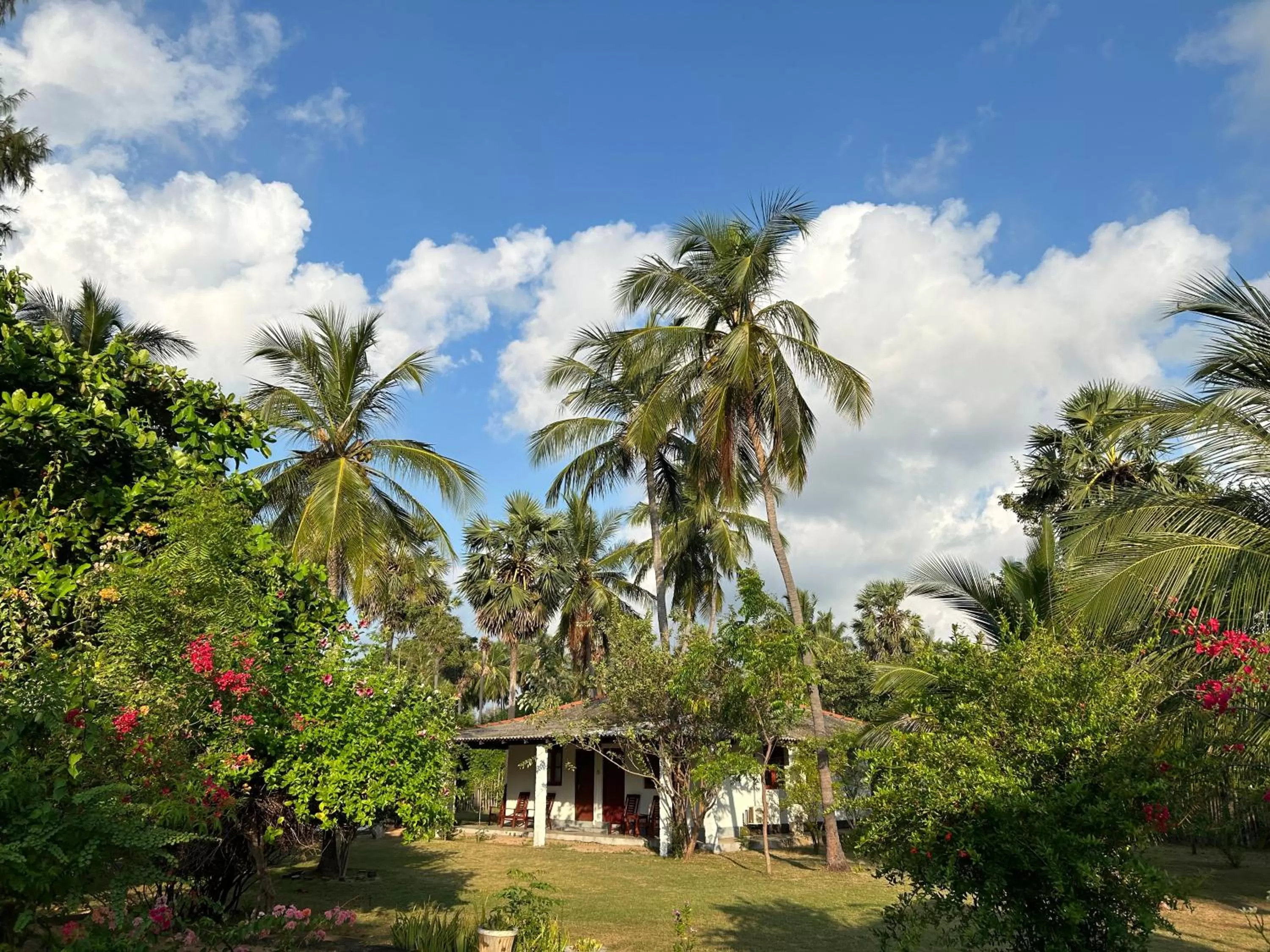 Spring in 108 Palms Beach Resort