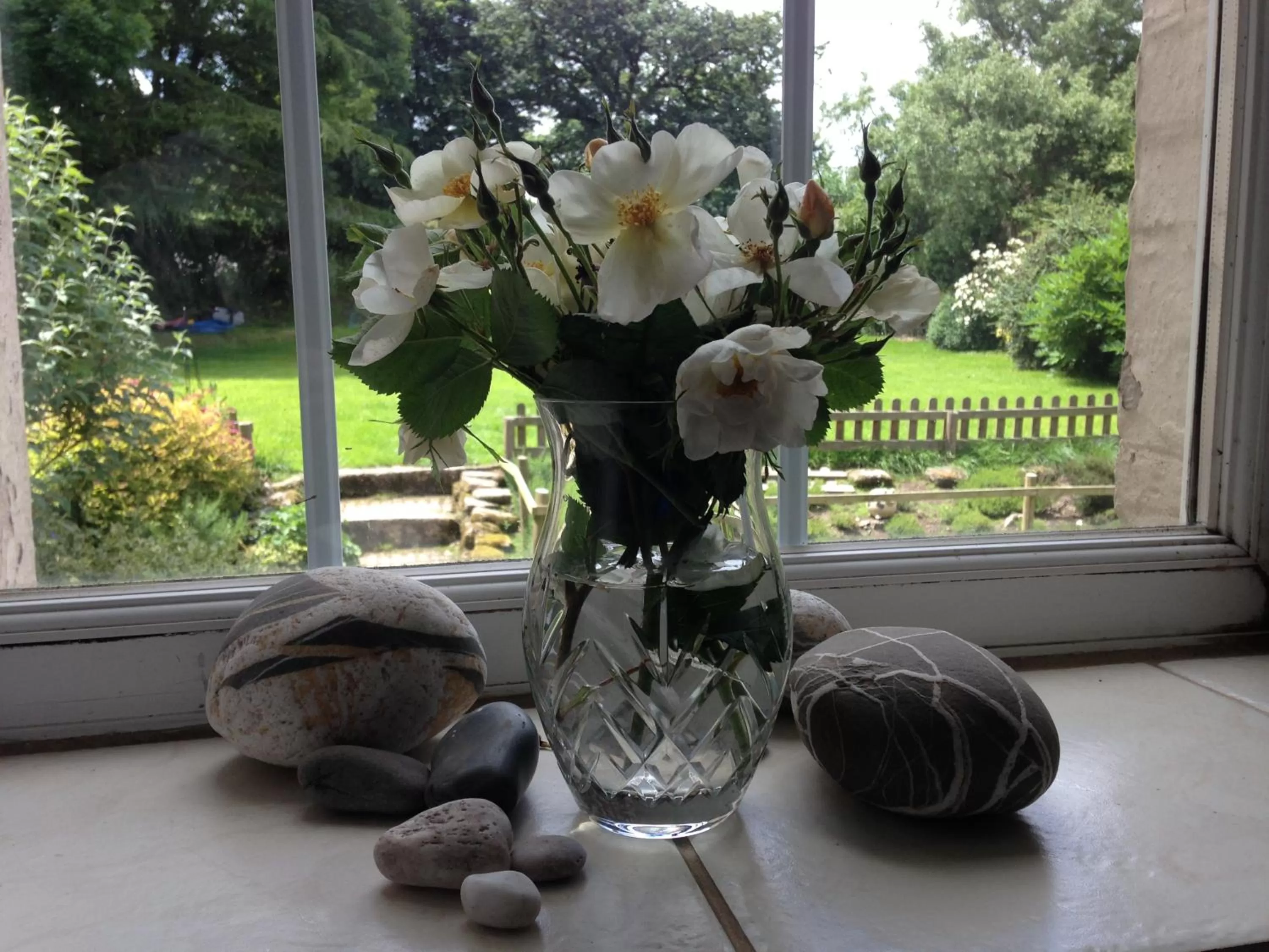 Garden view, Drinks in Lovaton Farmhouse