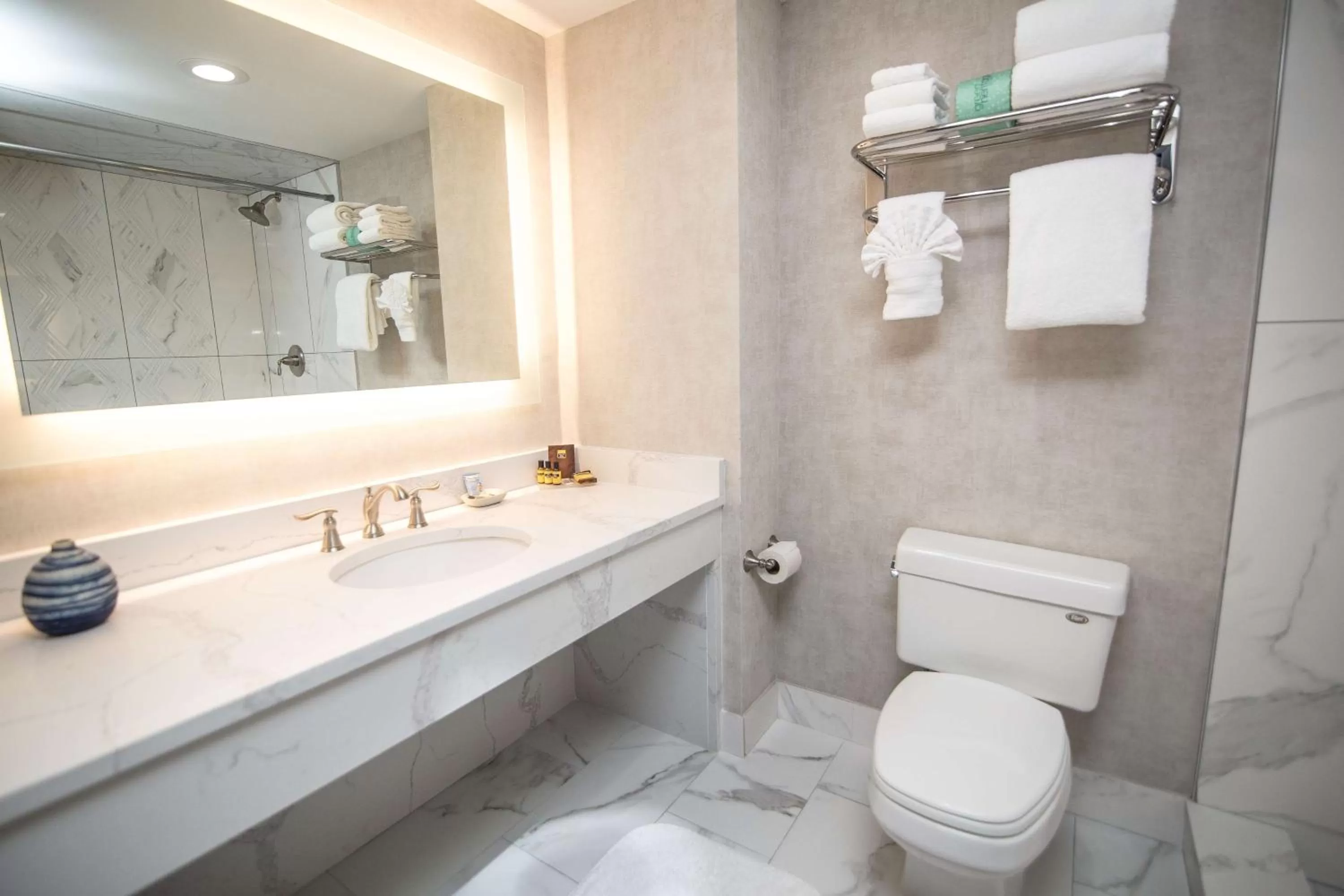 Toilet in Best Western Plus Fairfield Executive Inn