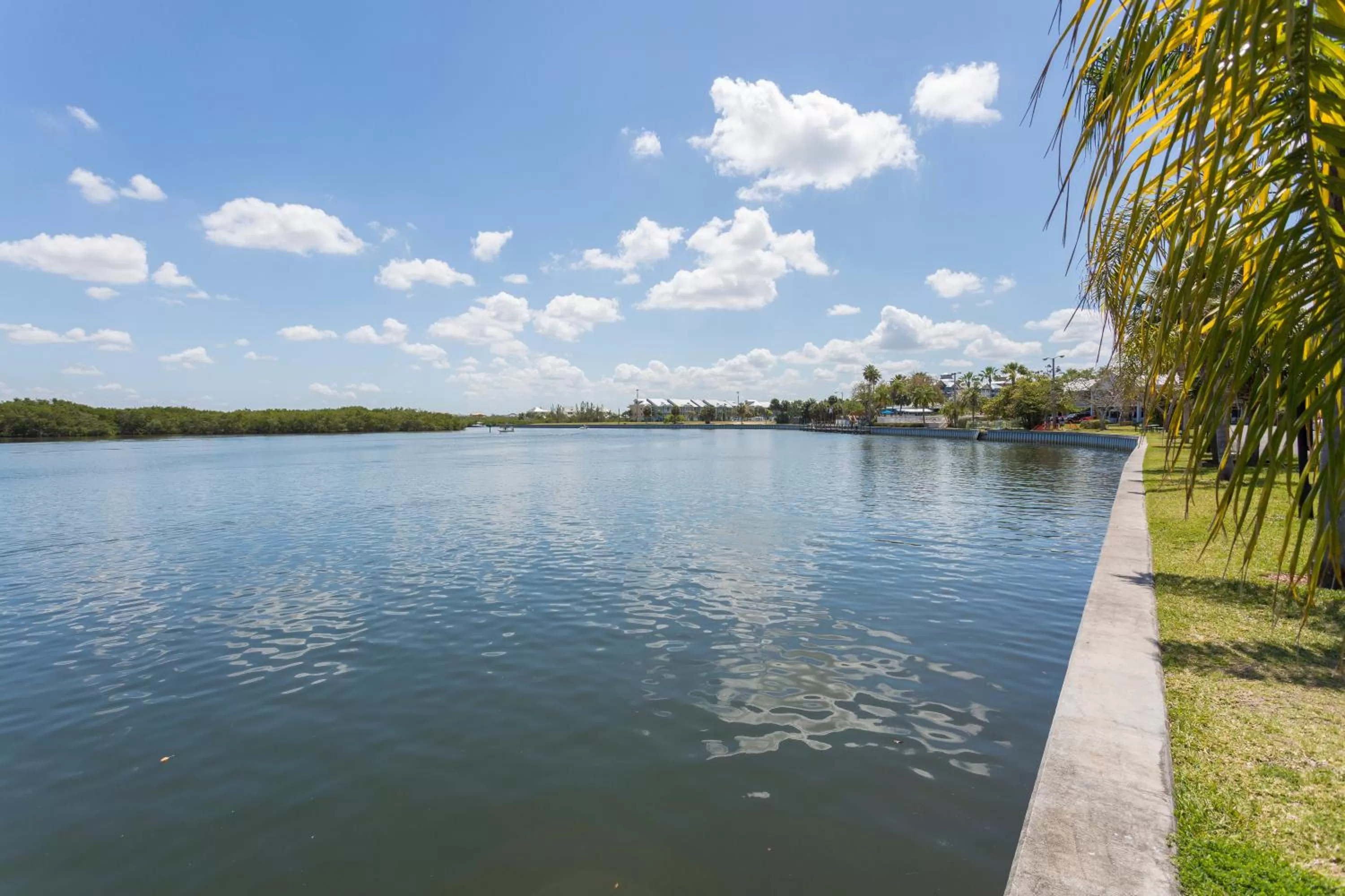 Day in TAMPA BAY, BEACH step away, WIFI, FREE PARKING,POOLS, JACUZZI