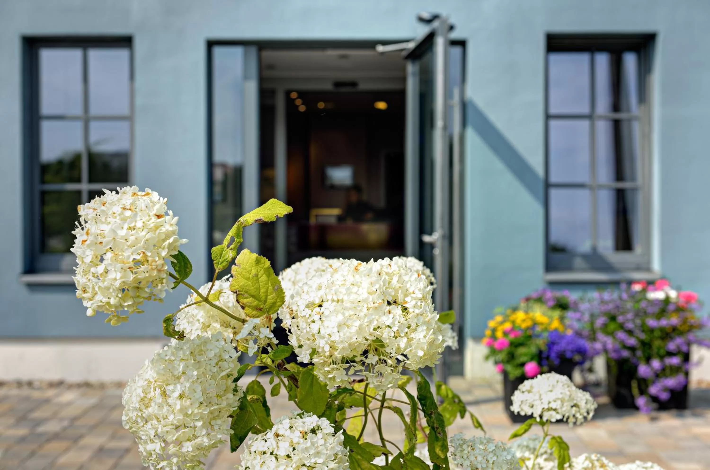 Facade/entrance in ARTHOTEL Kiebitzberg