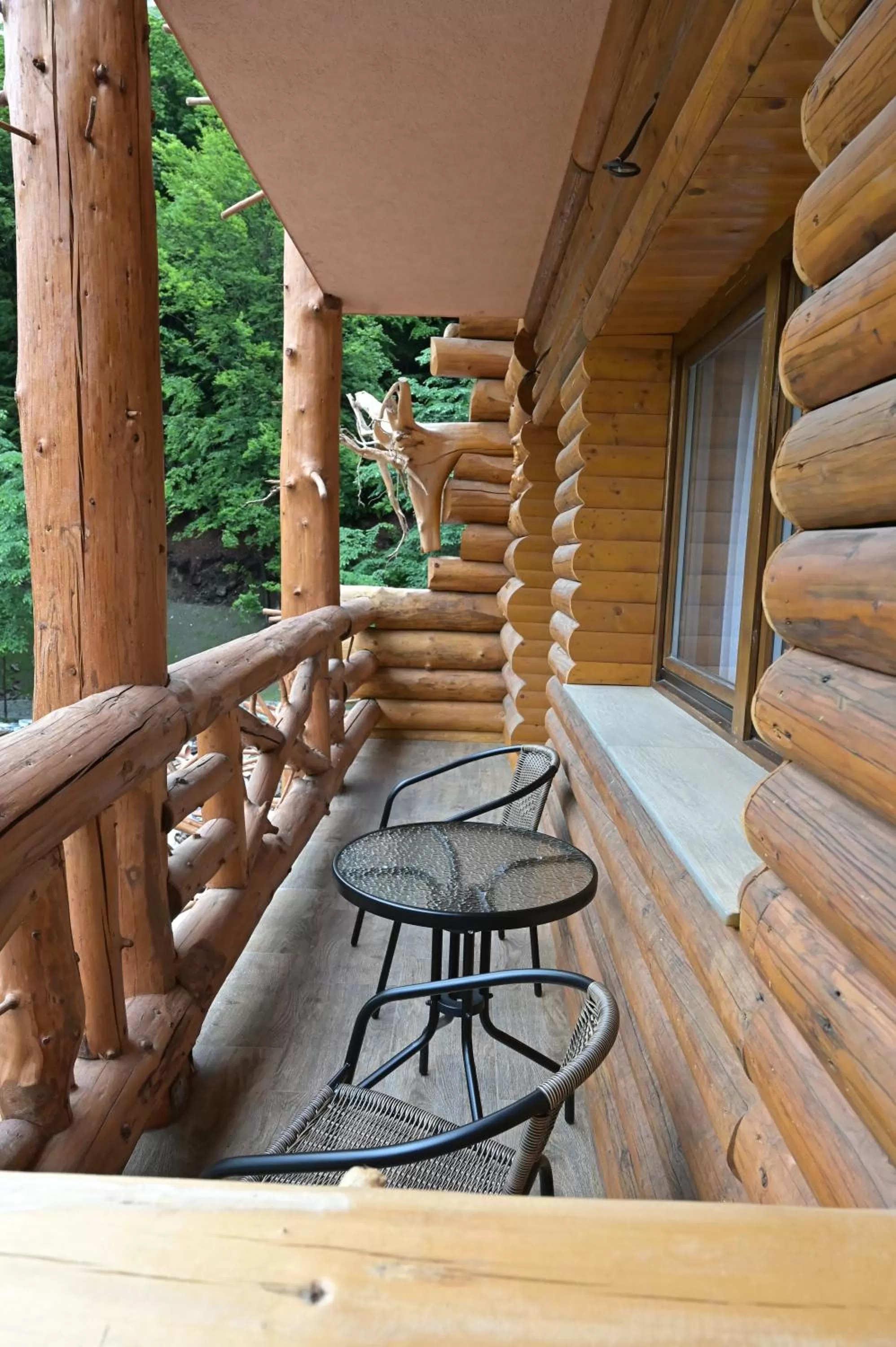 Day in Conacul Radacinilor