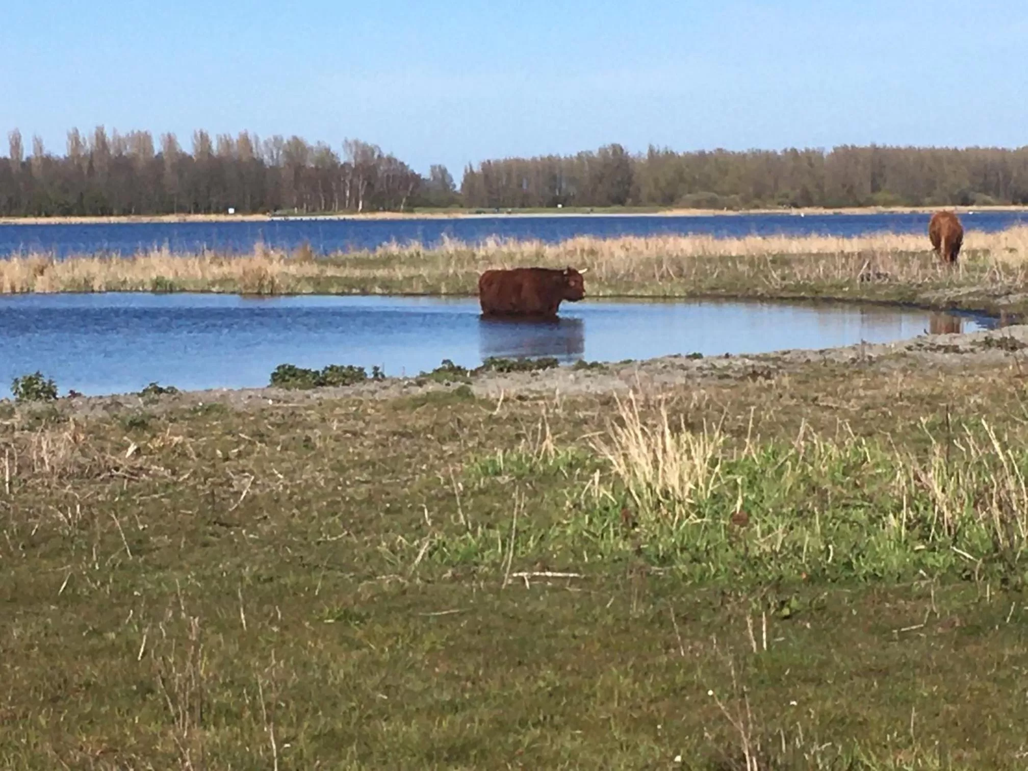 Natural landscape in BnB Purmerland