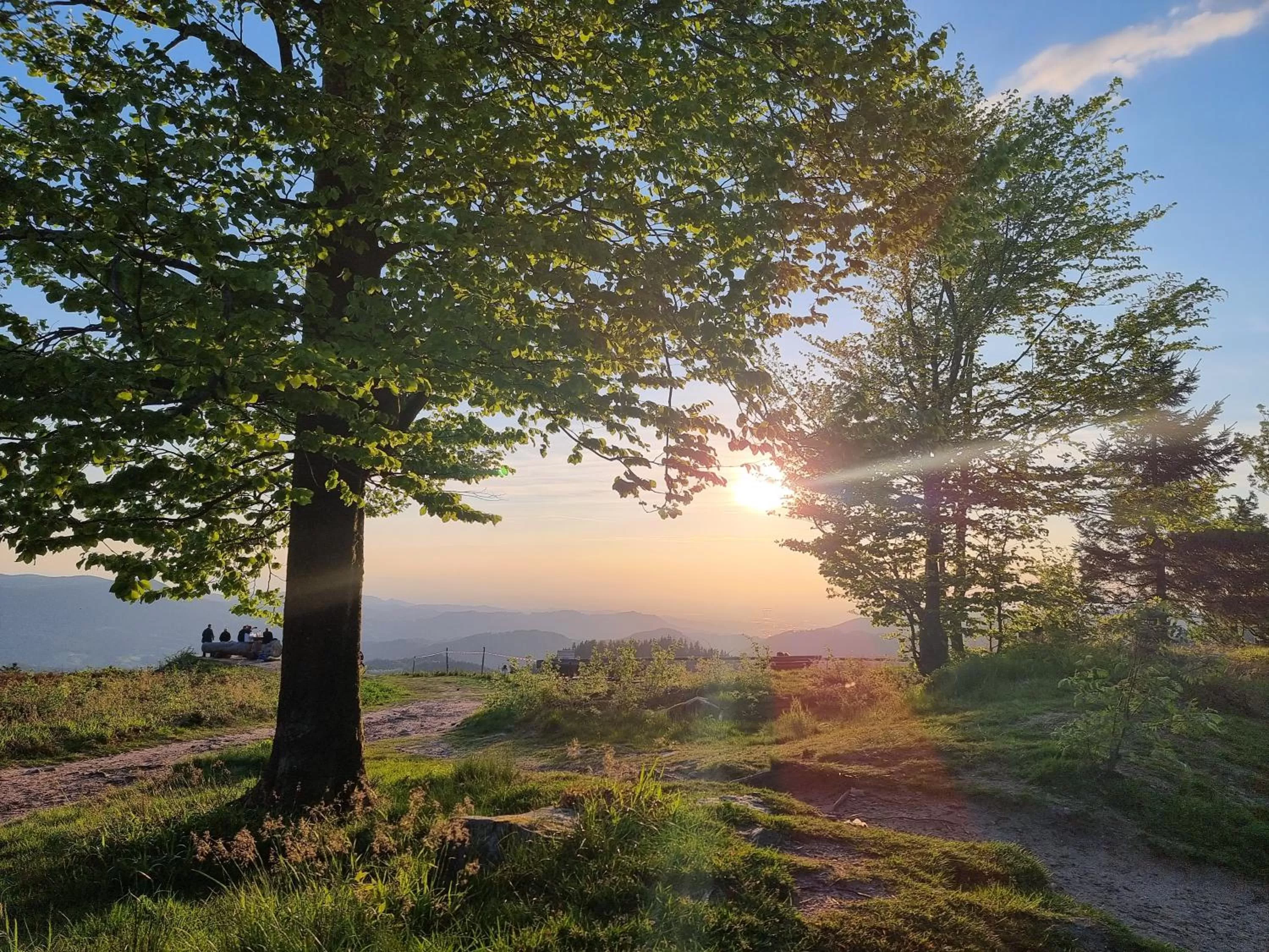 Nearby landmark in Kurparkhotel Faißt