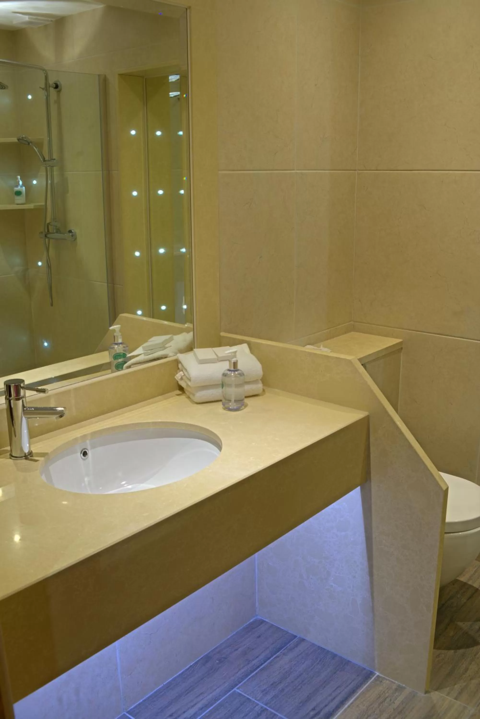 Bathroom in Four Seasons Hotel & Leisure Club