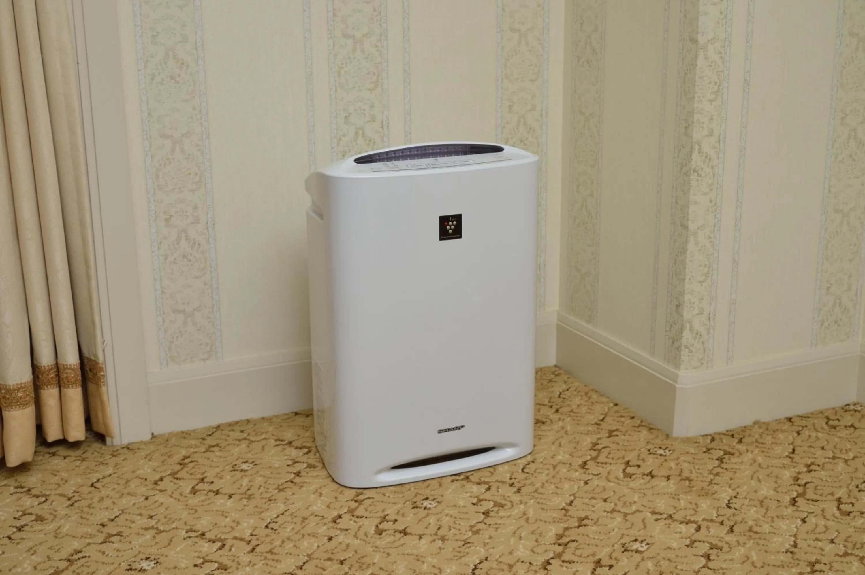 Living room in Crest Hotel Kashiwa