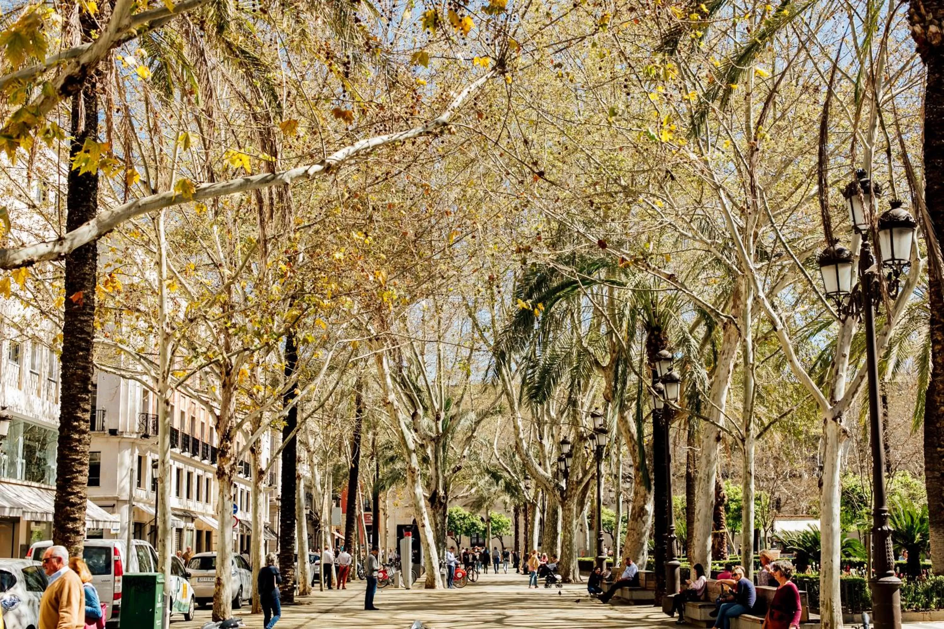 Neighbourhood in Casa Patio del Siglo XIX