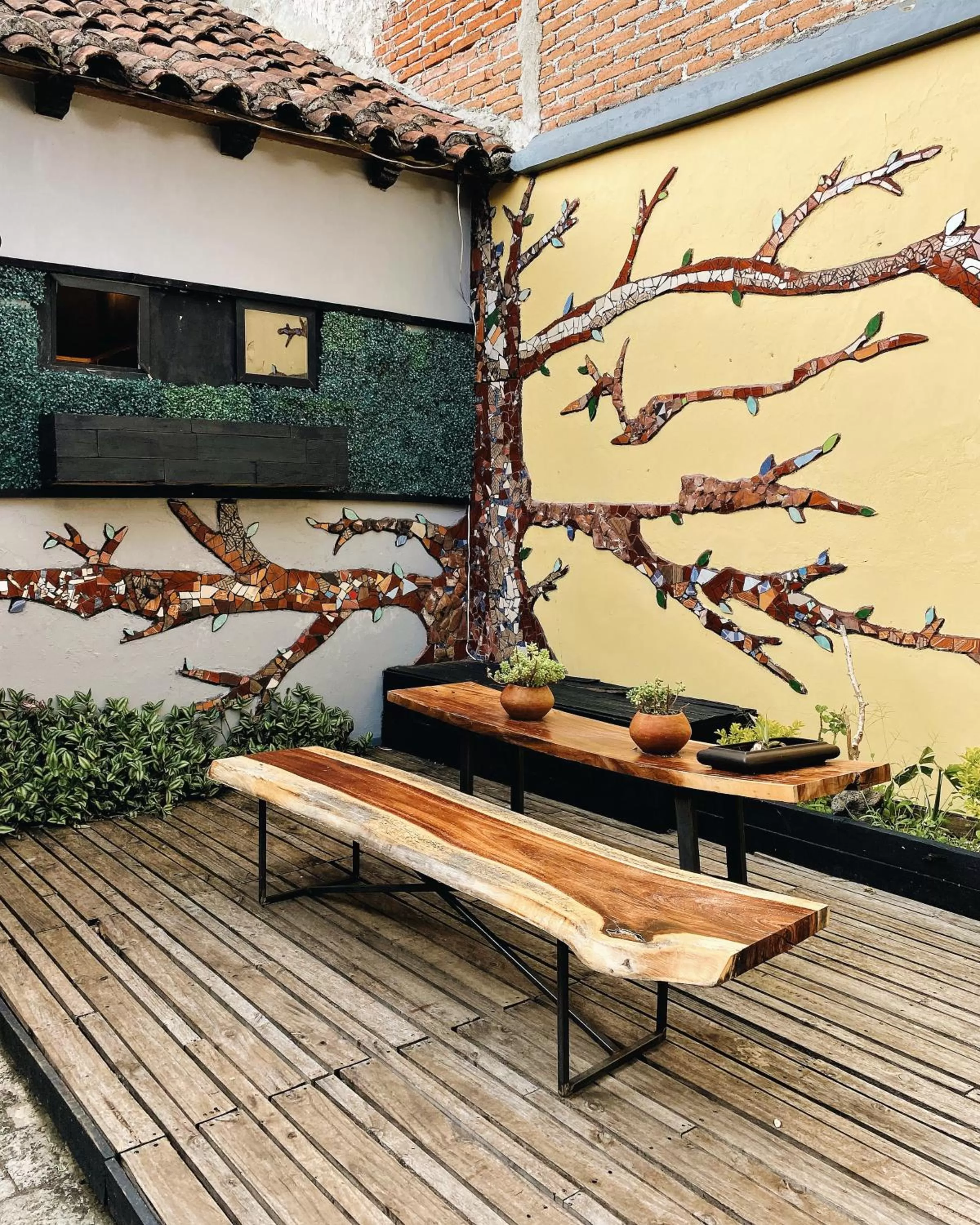 Patio in El Naranjo Hotel Finca Urbana