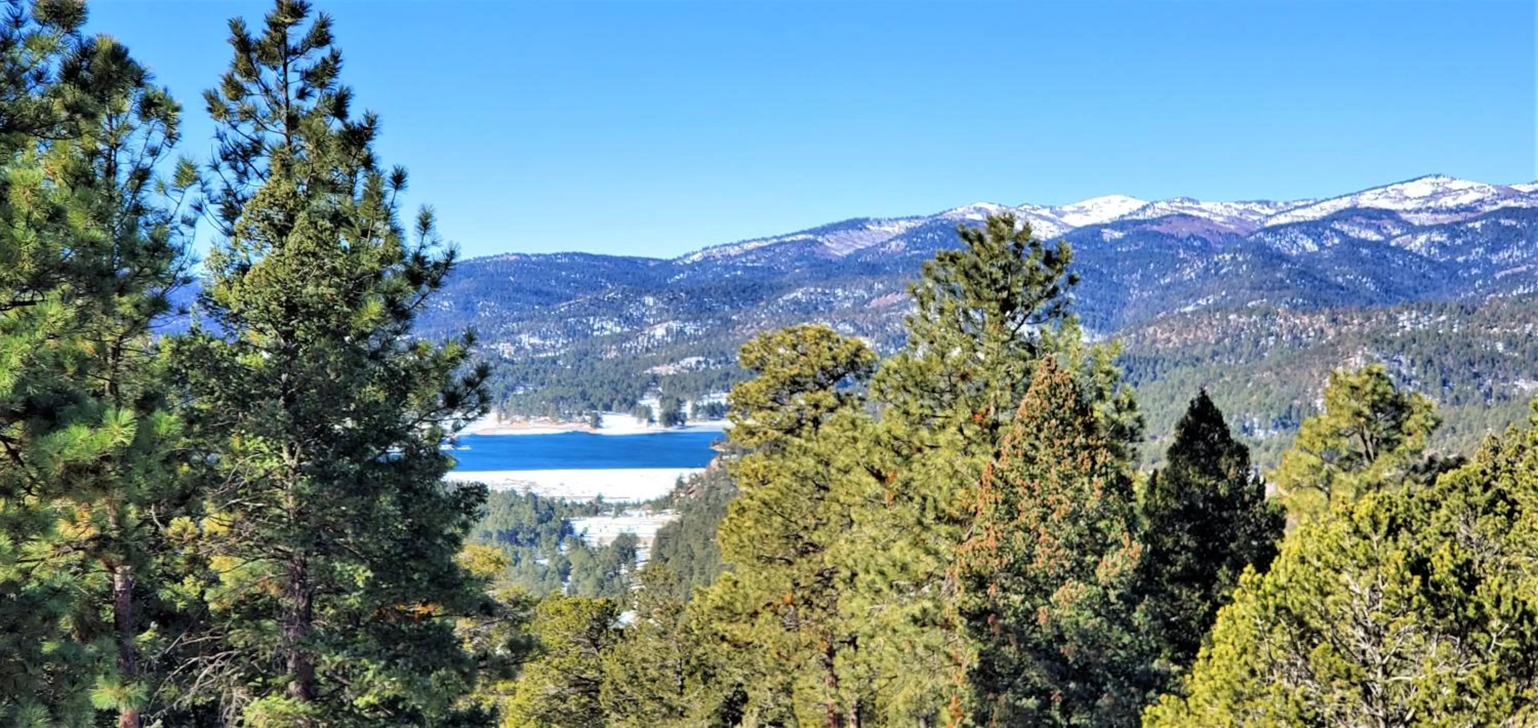 Natural landscape in High Sierra Condominiums