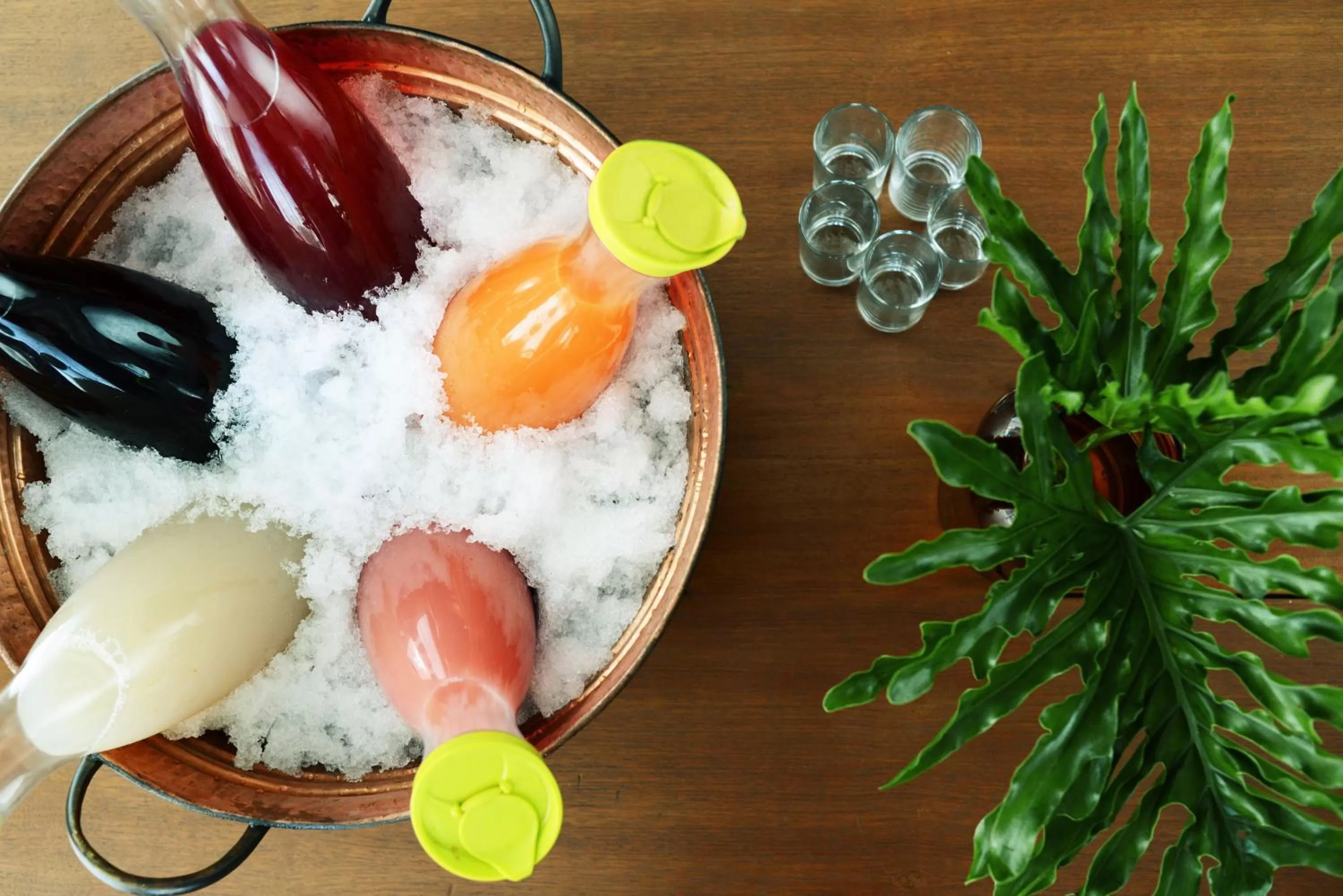 Drinks in Morrissey Hotel