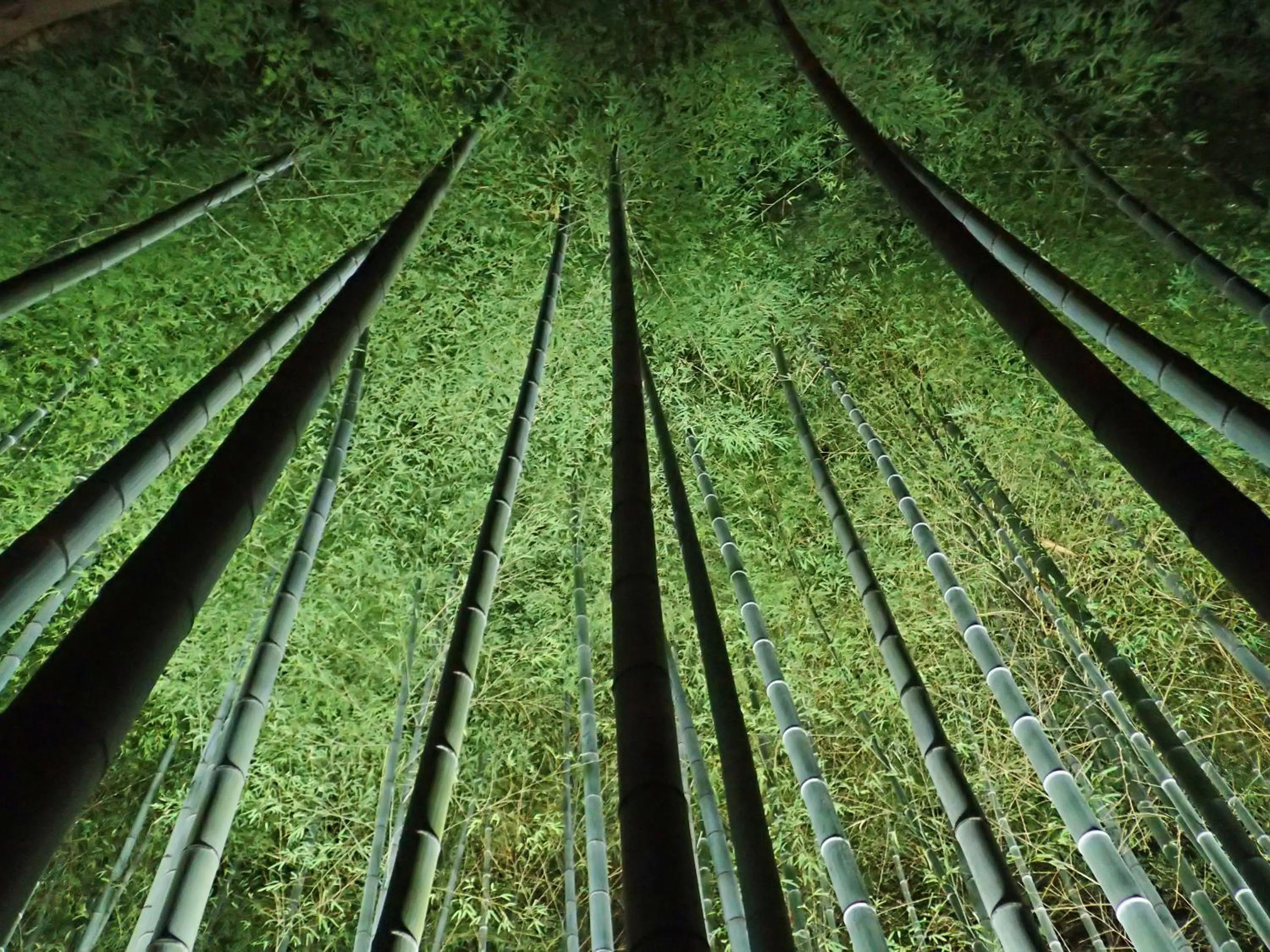 Other in Kyoto Inn Higashiyama