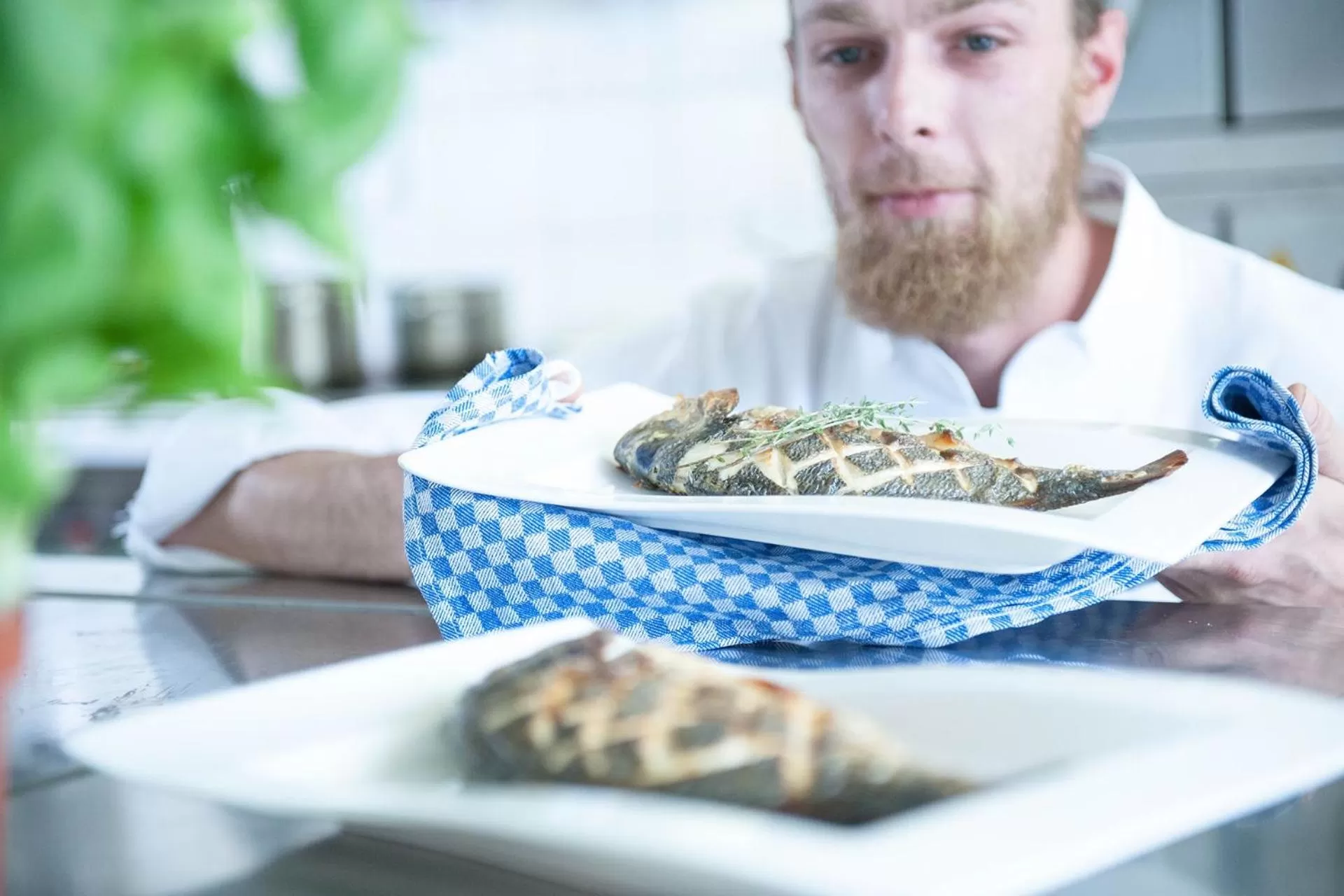 Dinner in Hotel Am Medemufer