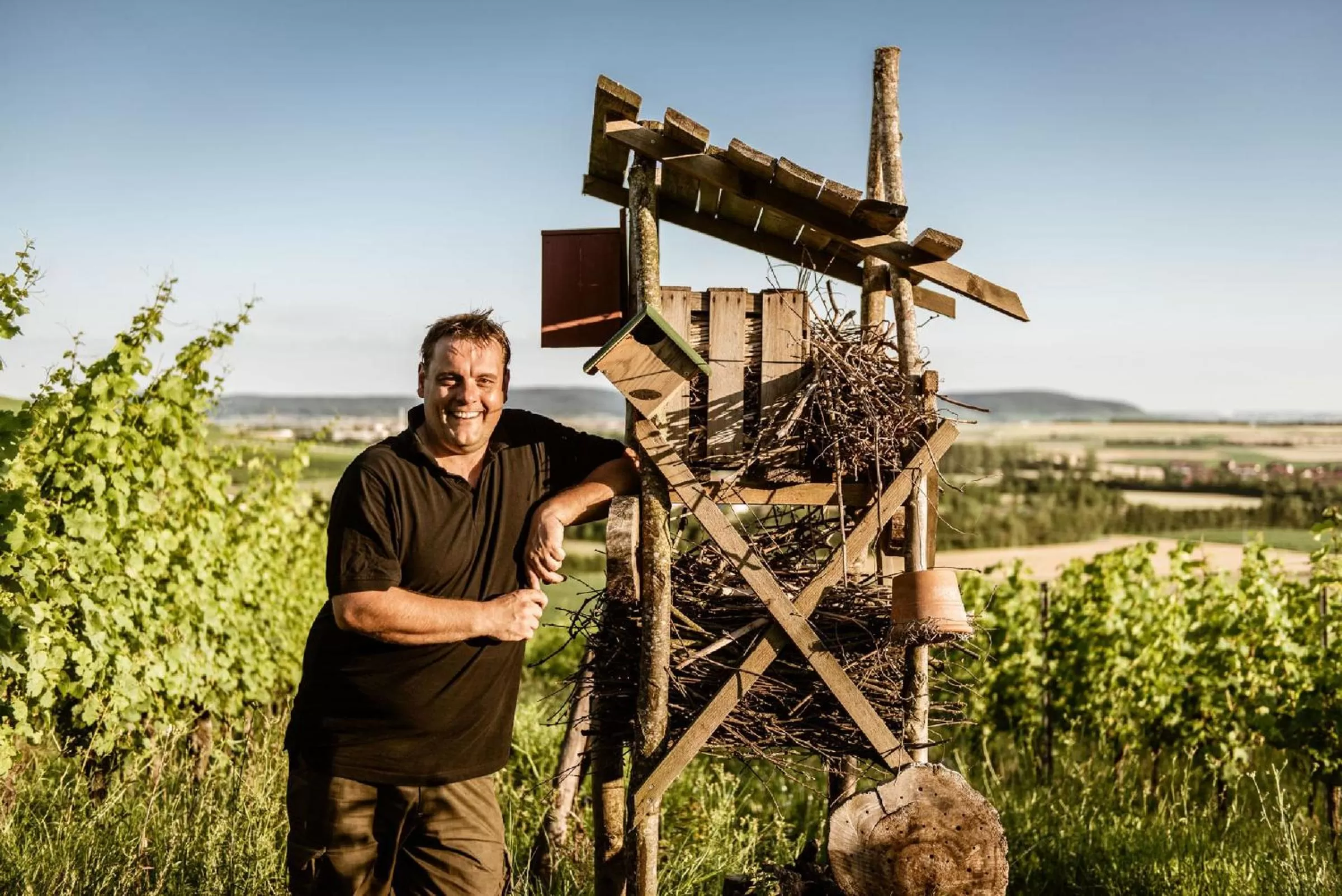 Other in Biobausewein WEIN HOTEL LEBEN