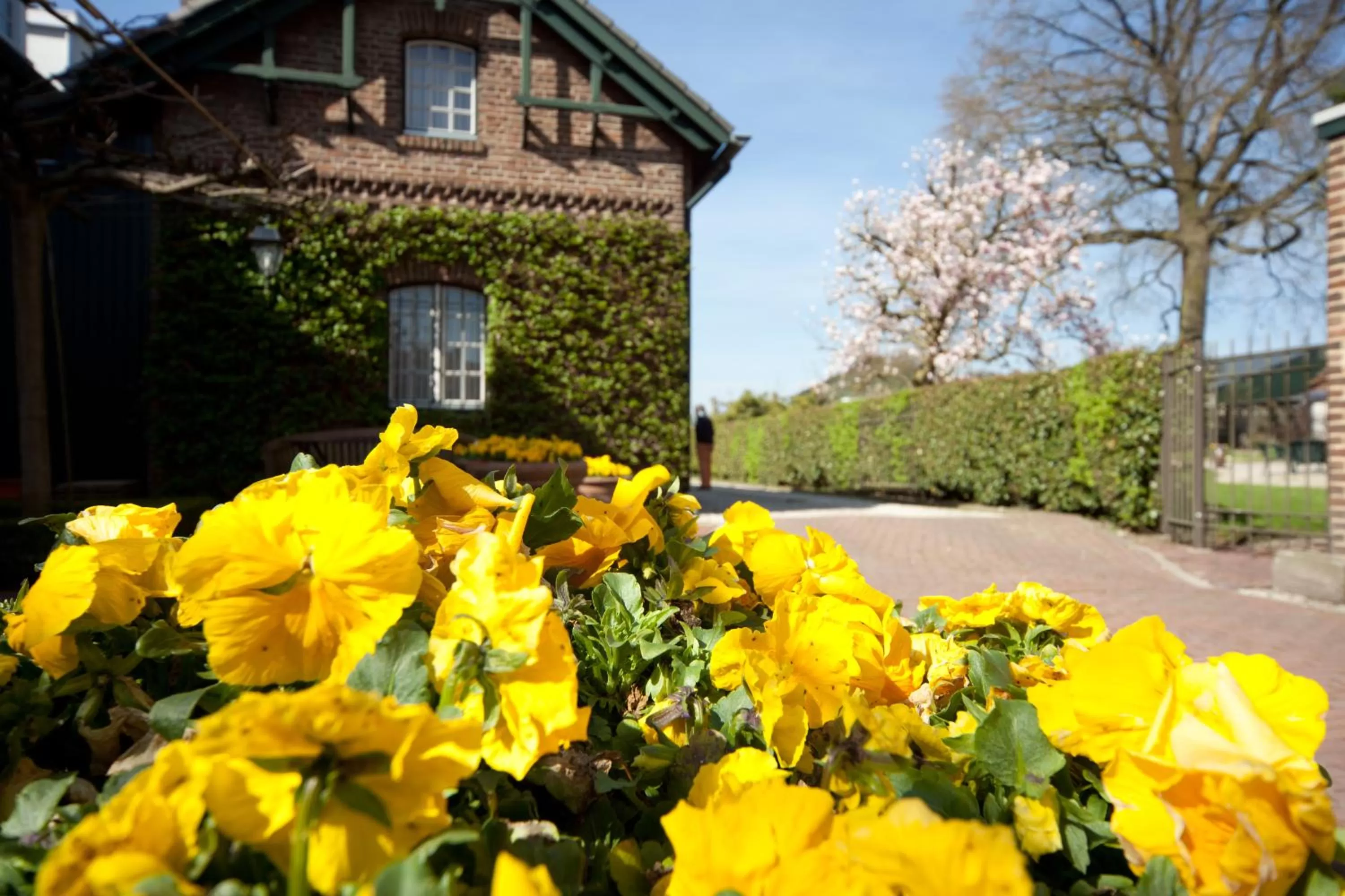Facade/entrance in Hotel Brull