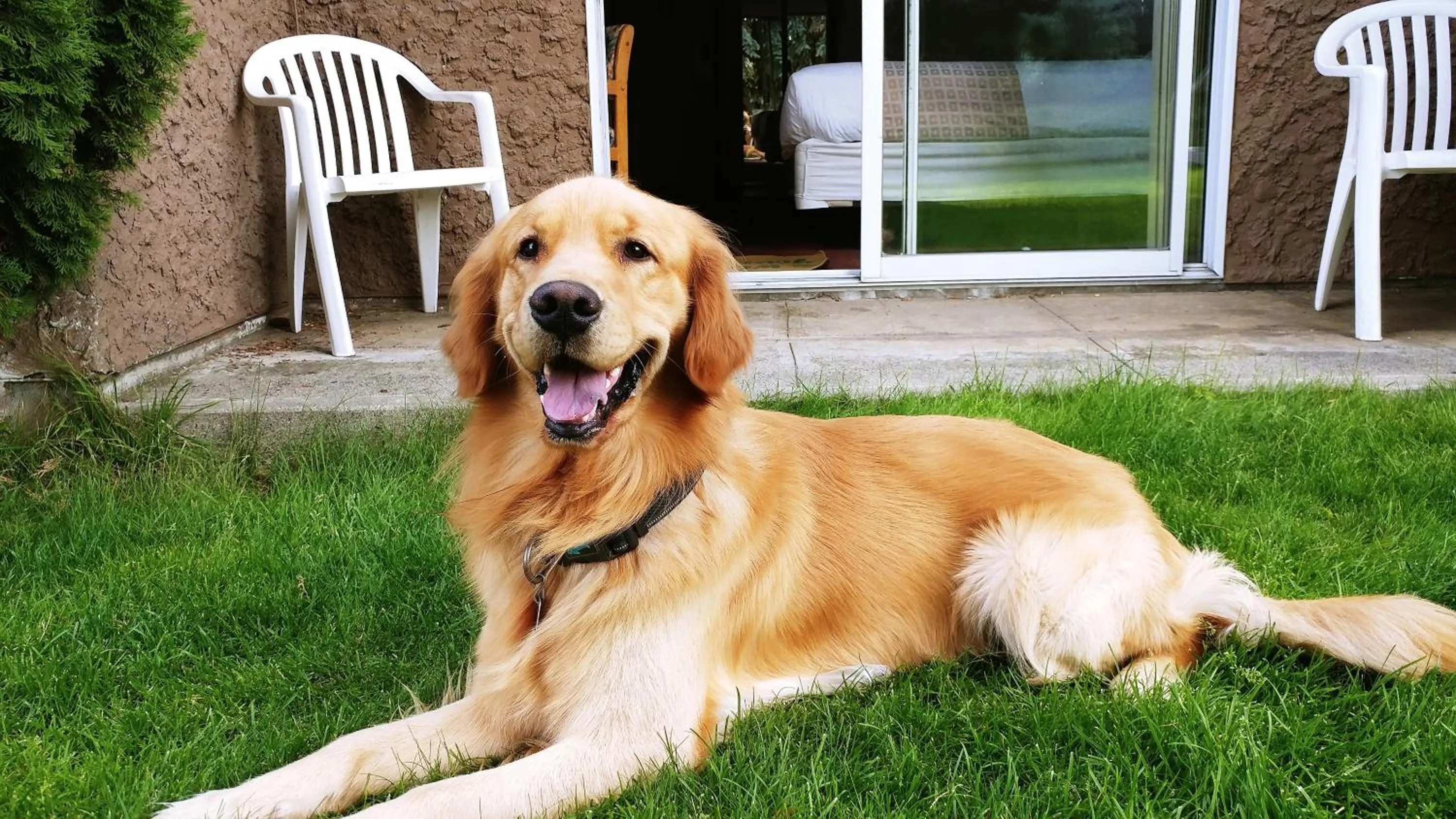 Garden in Divya Sutra Plaza and Conference Centre, Vernon, BC