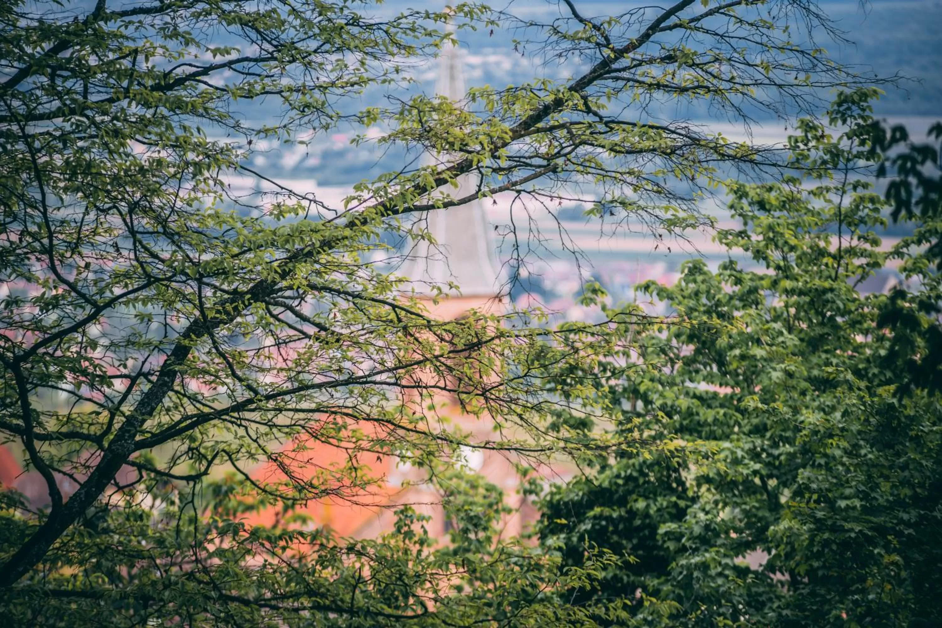 Natural landscape in Hotel SPA Husseren Collections - Proche Colmar - Eguisheim