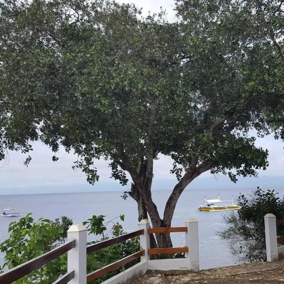 Sea view in Pescador View - Beach Resort & Restaurant