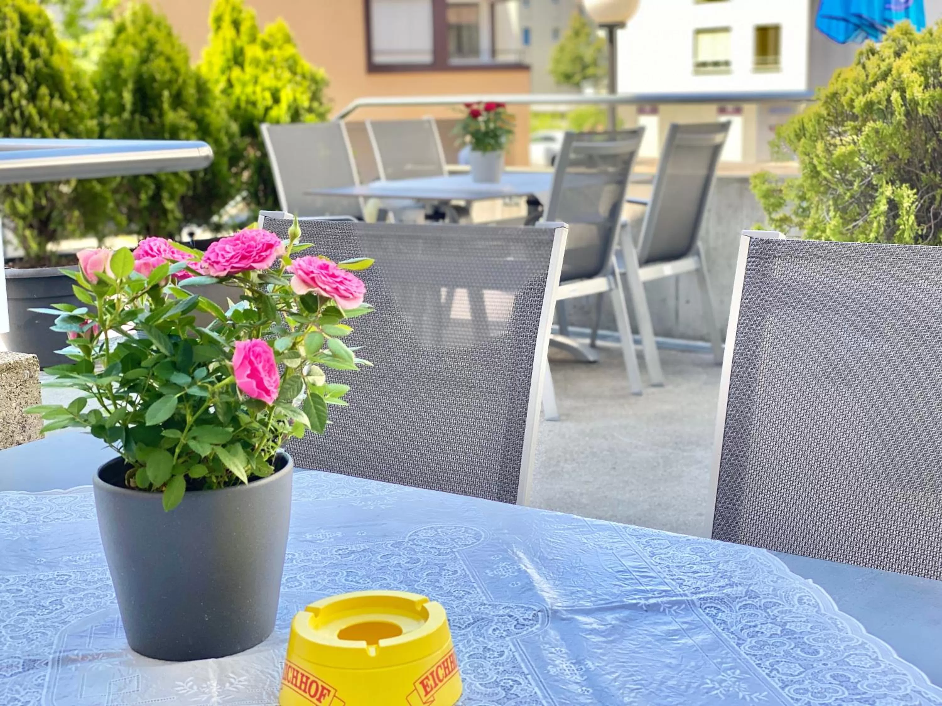 Restaurant/places to eat in Hotel Hirschen Hinwil