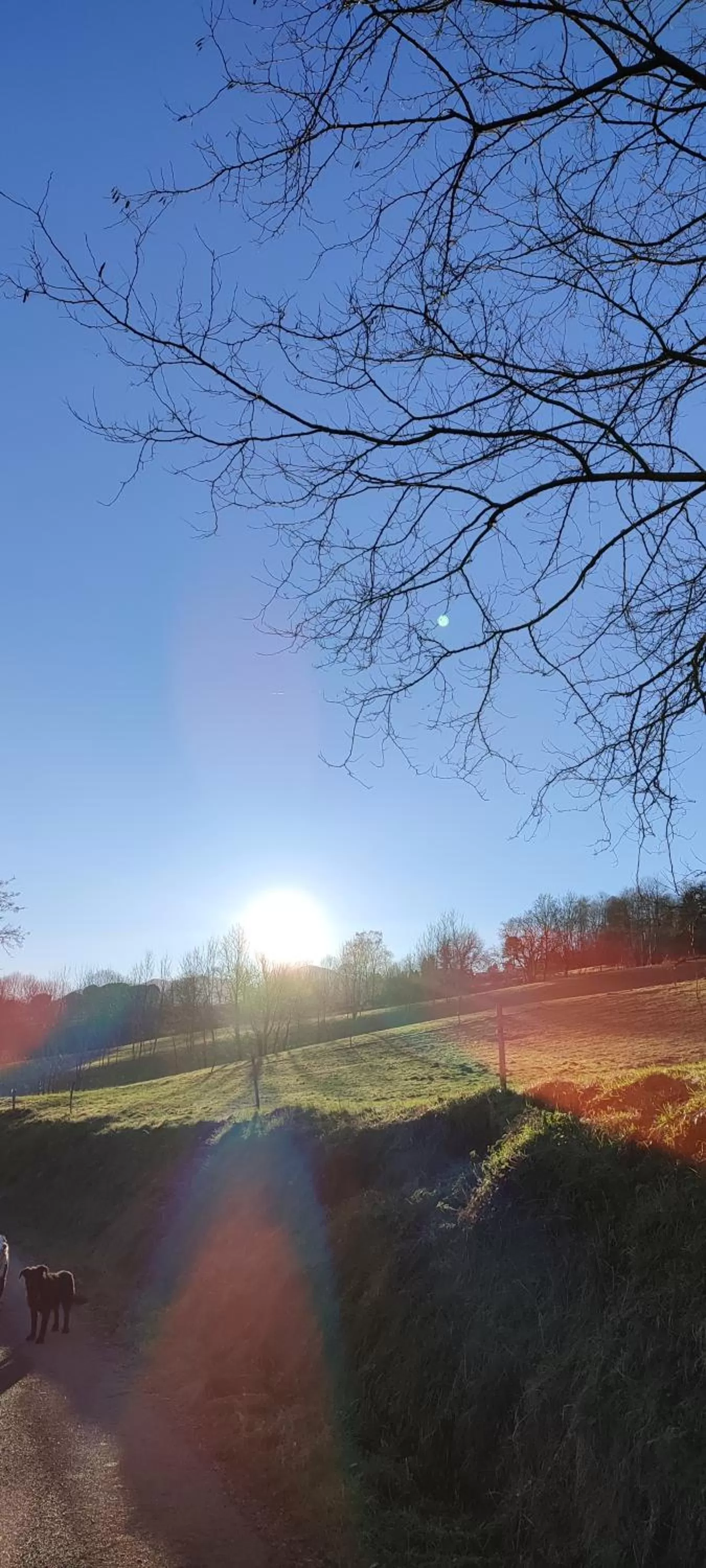 Domaine Le Lanis Chambre d'hôtes avec spa sur réservation