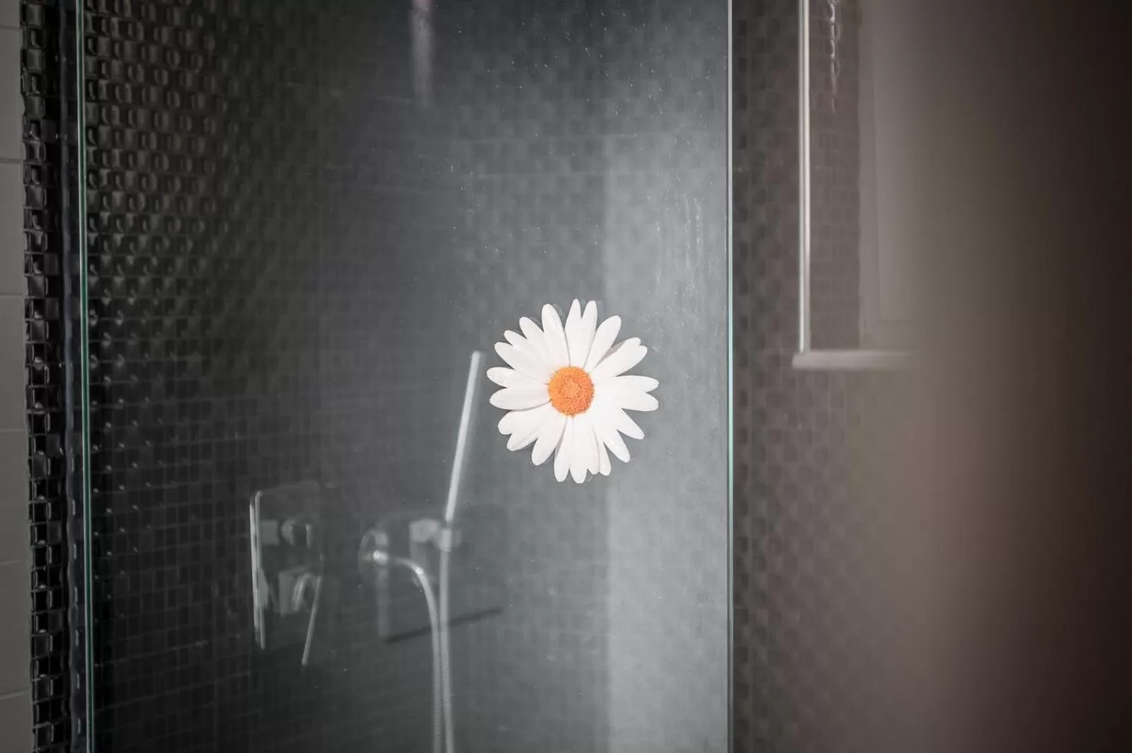 Decorative detail in Hotel Kamomil