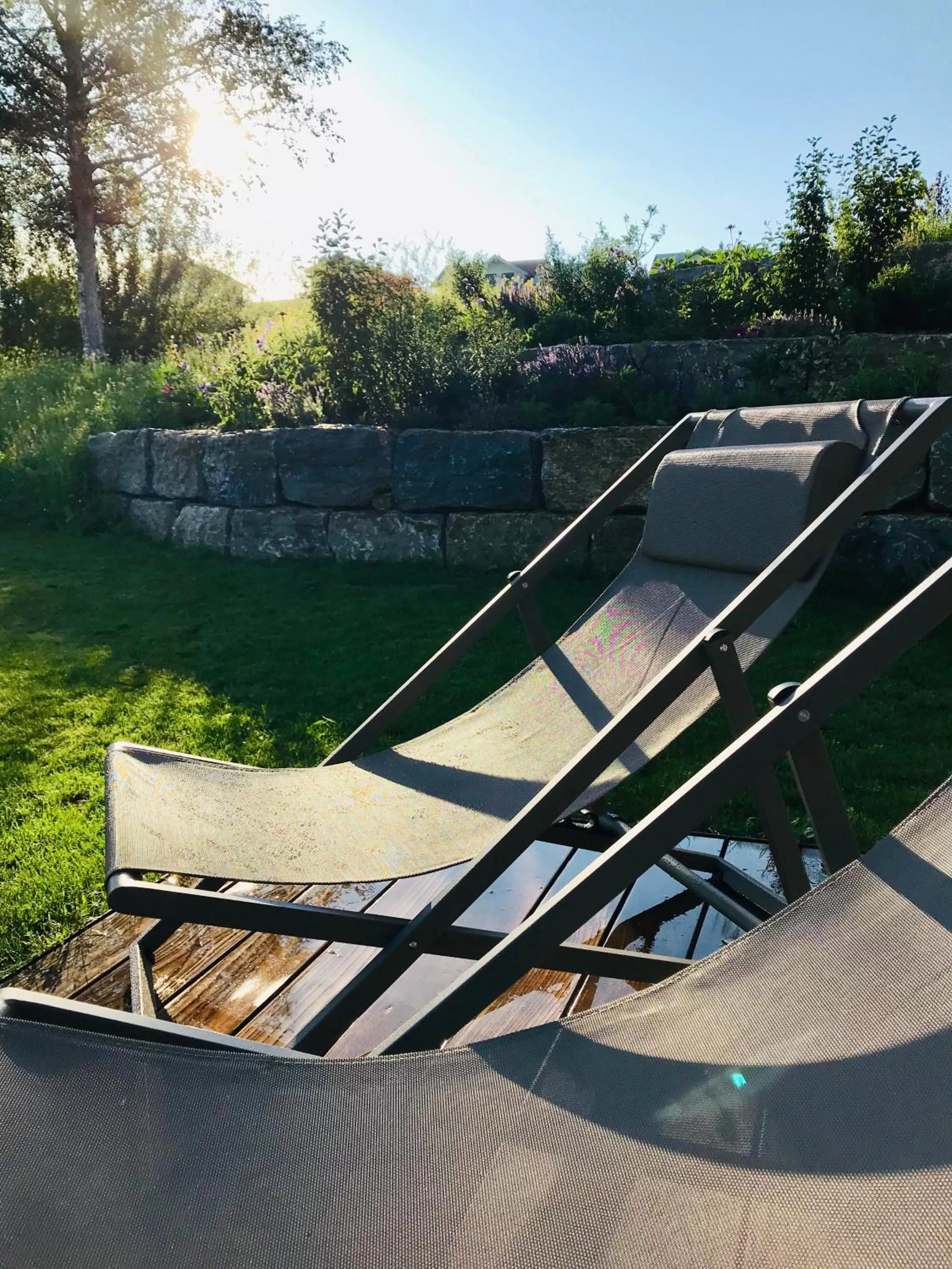 Garden in Alpenloge Design Hotel