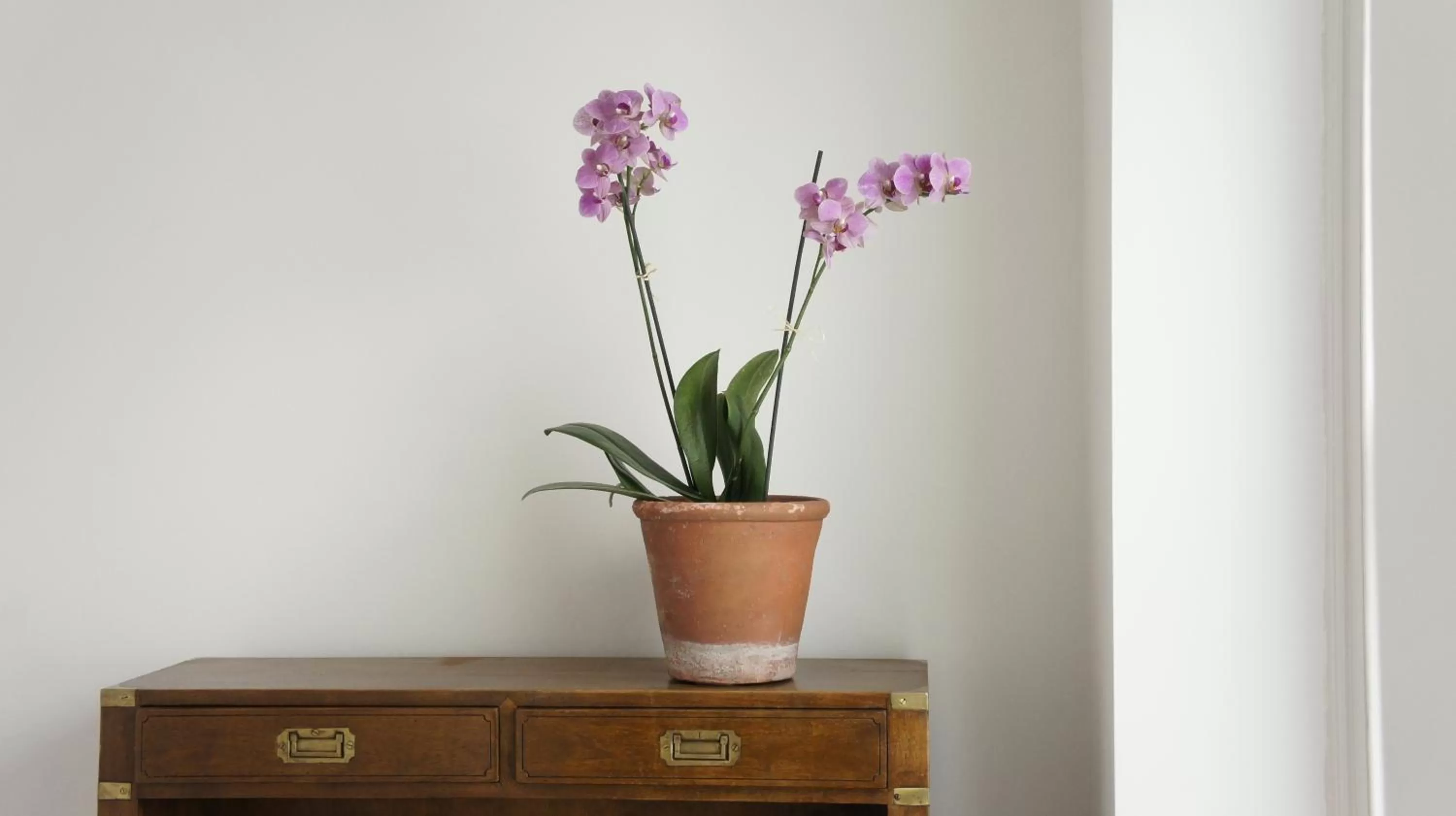 Other, TV/Entertainment Center in Abergavenny Hotel