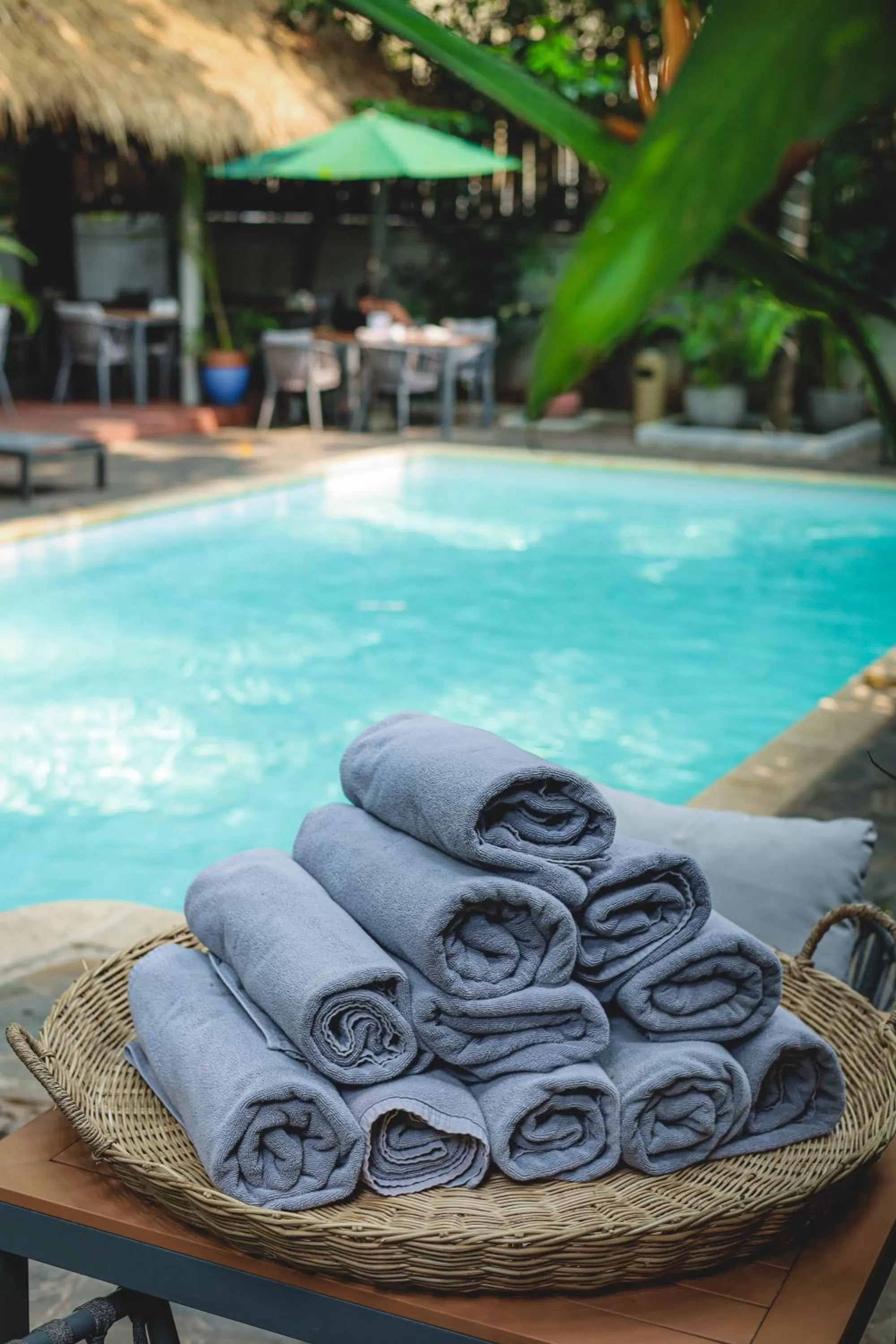 Swimming pool in Jungle Addition