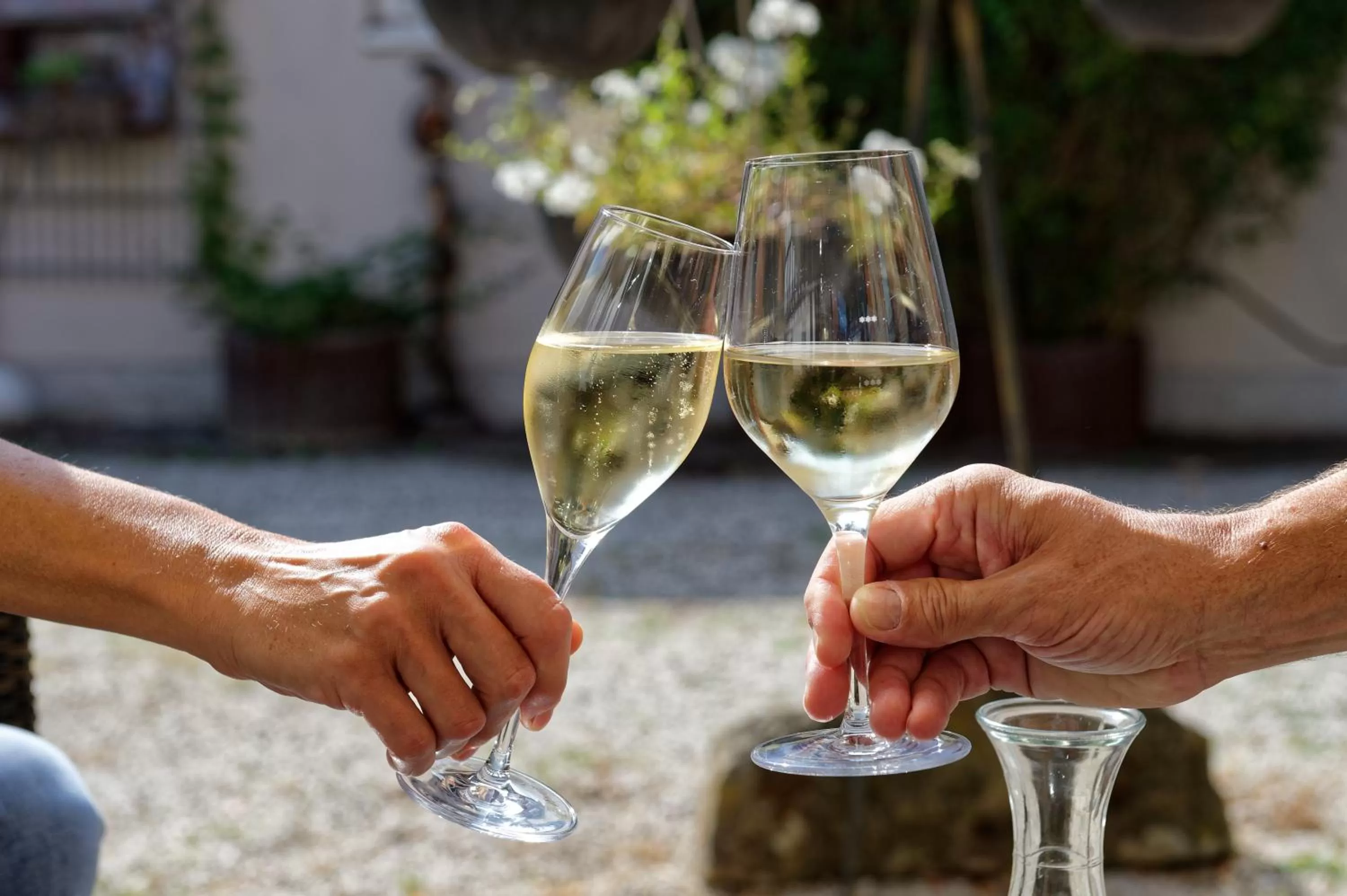 Restaurant/places to eat in Salischer Hof